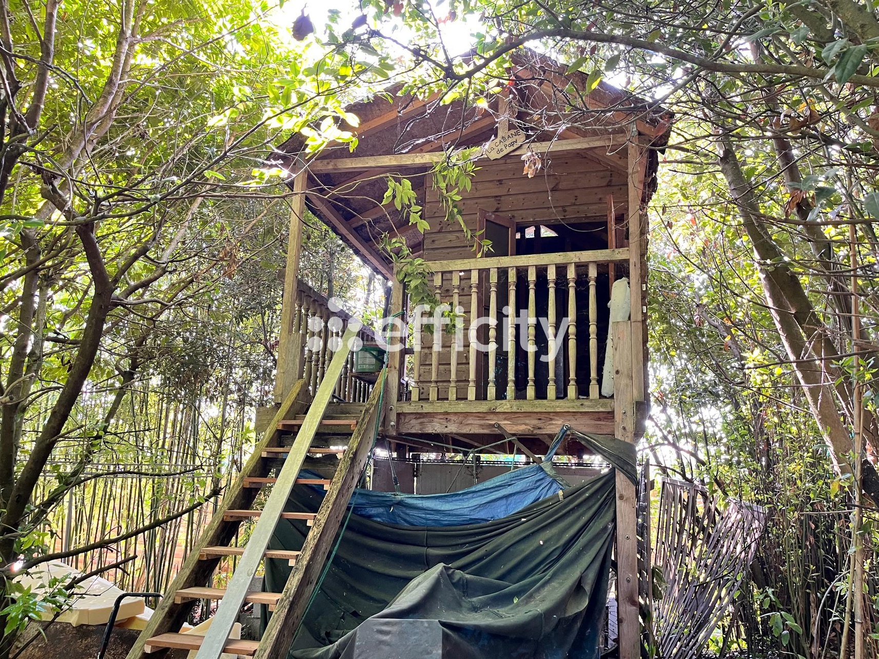 Achat immobilier Maison 6 pièces  420m2 à Saintes (17100) - Photo n°24