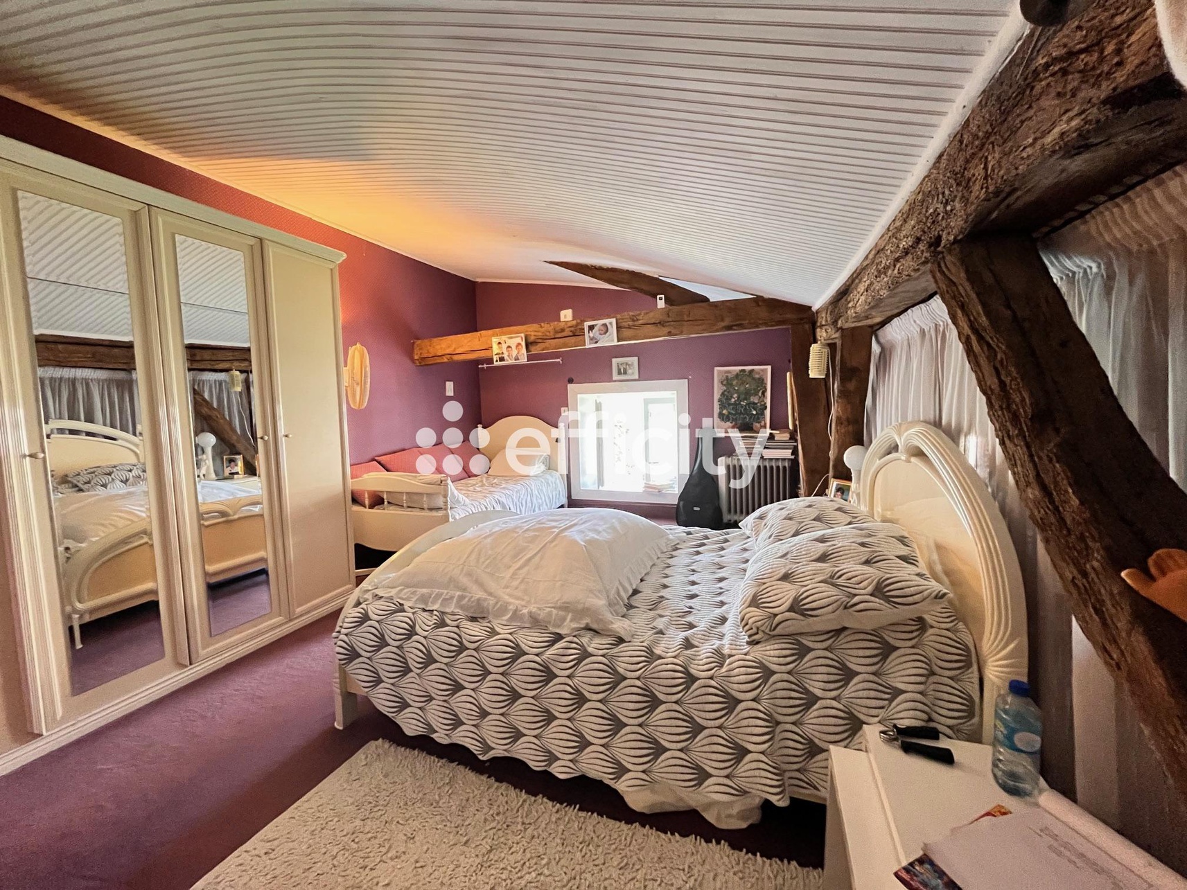 Achat immobilier Maison 6 pièces  420m2 à Saintes (17100) - Photo n°17