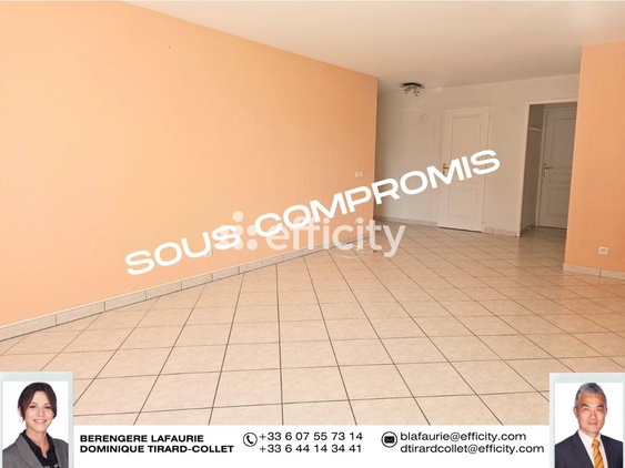 appartement 3 pièces - 74m2 à La Roche-sur-Foron (74800)