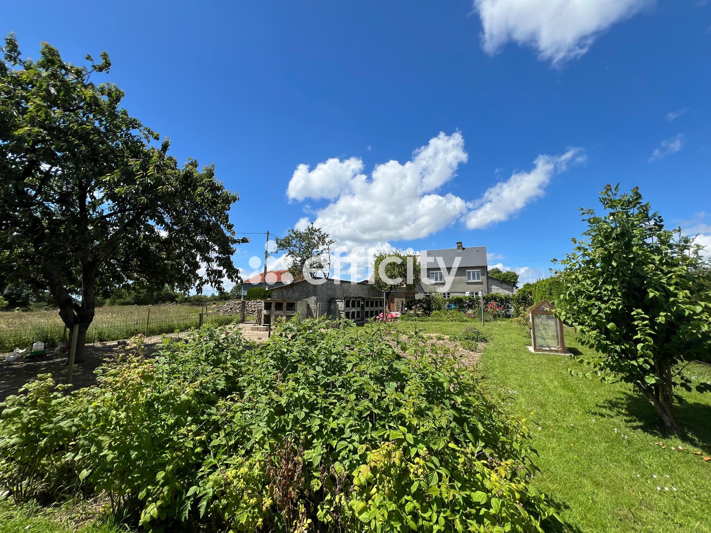 maison 4 pièces - 80m2 à Torigny-les-Villes (50160)