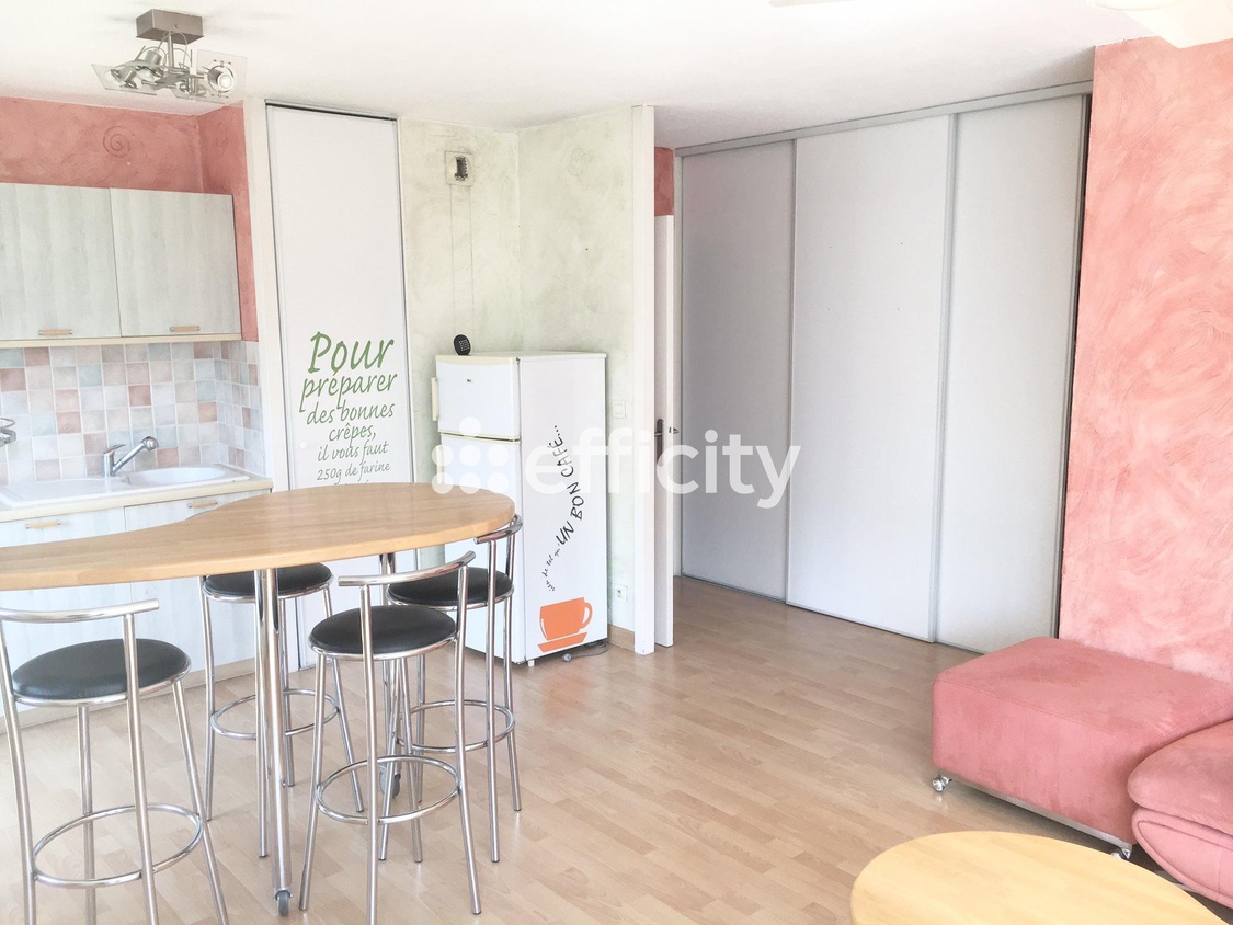 appartement 2 pièces - 49m2 à Villeurbanne (69100)