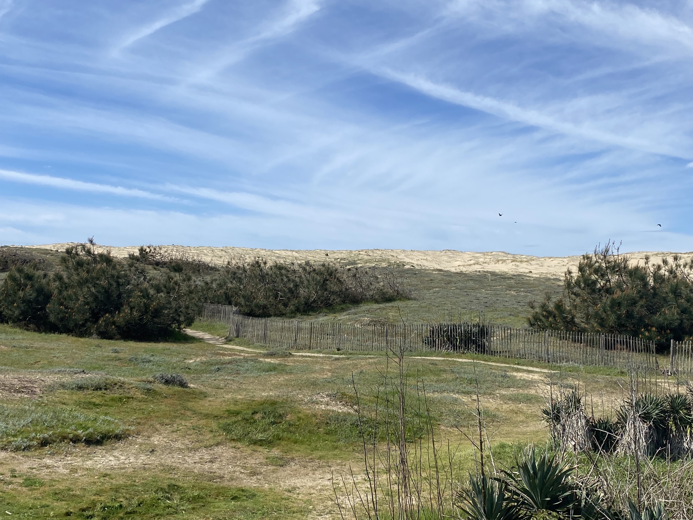 maison 4 pièces - 60m2 à Lège-Cap-Ferret (33970)