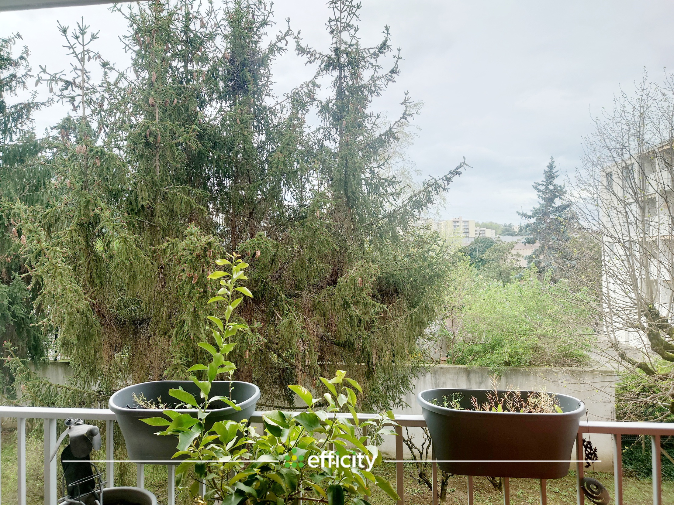 appartement 4 pièces - 82m2 à Tassin-la-Demi-Lune (69160)