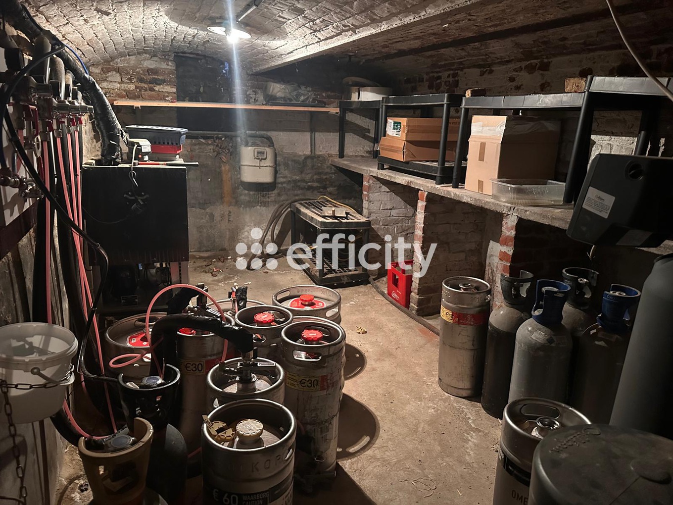 Achat immobilier Immeuble 6 pièces  320m2 à Lille (59160) - Photo n°7