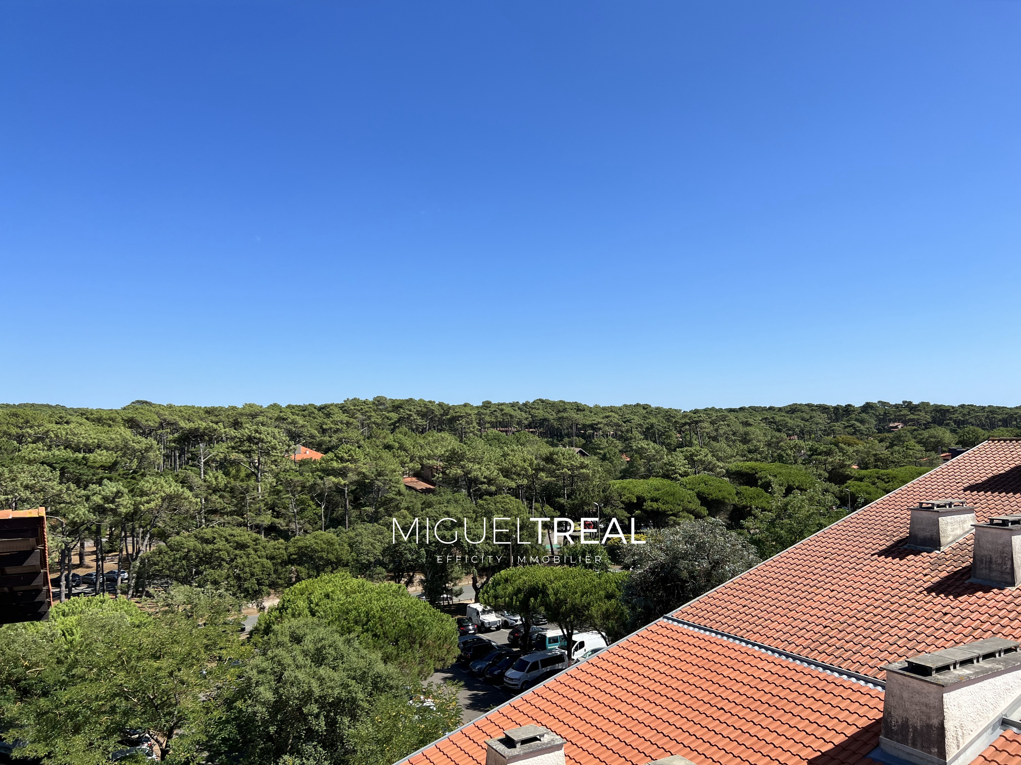 Achat immobilier Appartement 3 pièces  62m2 à Seignosse (40510) - Photo n°5