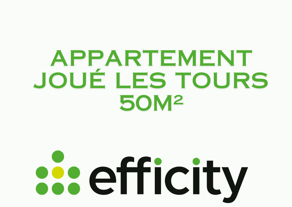 appartement 2 pièces - 47m2 à Joué-lès-Tours (37300)