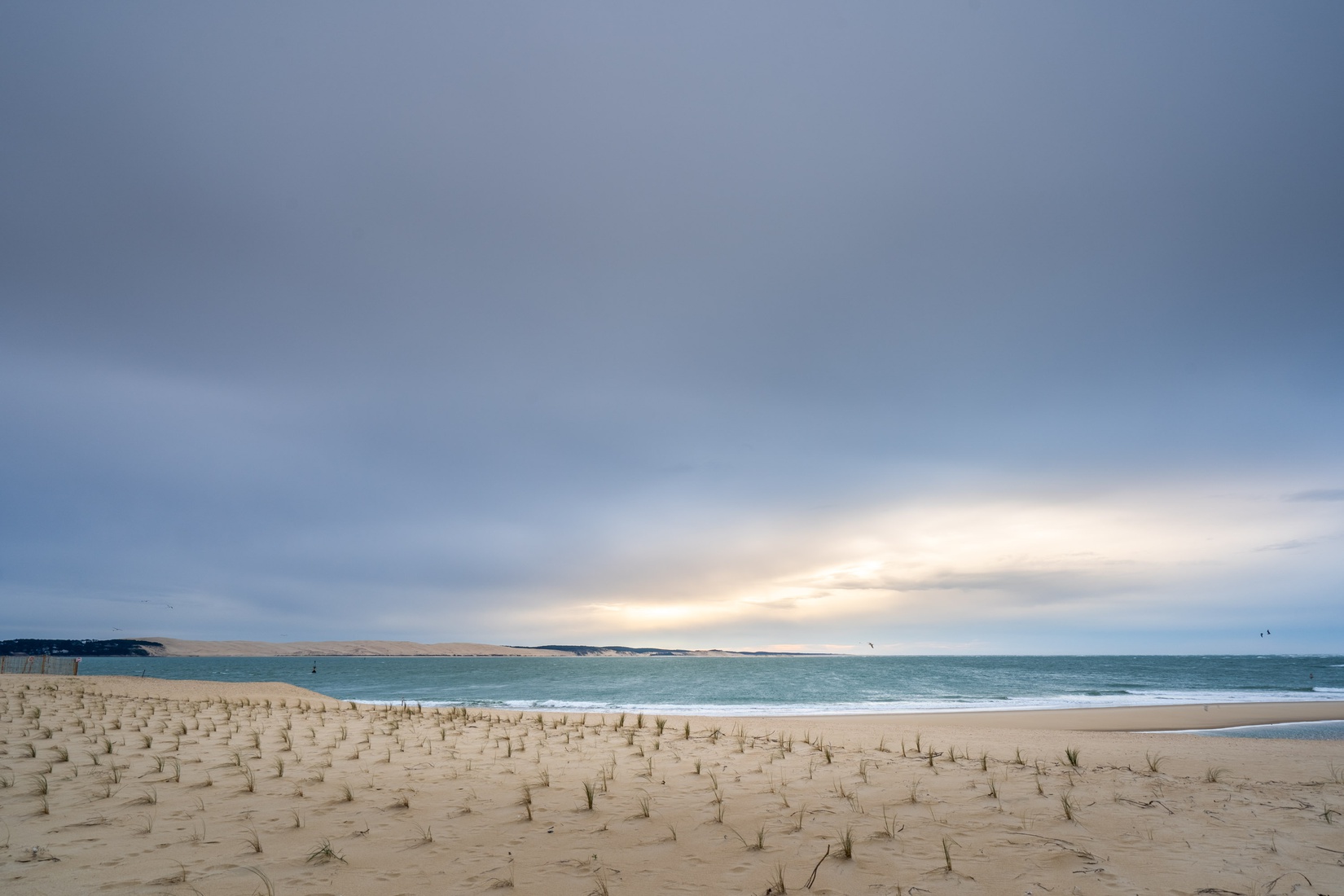 maison 8 pièces - 230m2 à Lège-Cap-Ferret (33950)