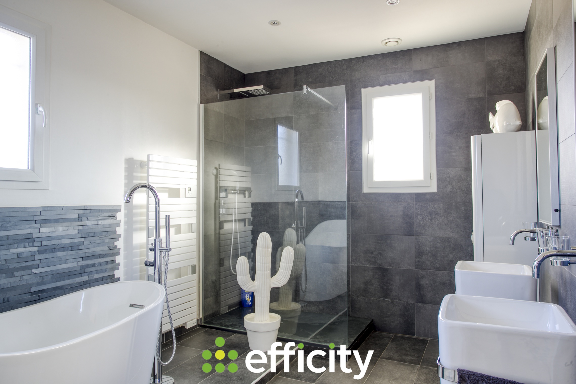 Achat immobilier Maison 5 pièces  177m2 à Messimy-sur-Saône (01480) - Photo n°8