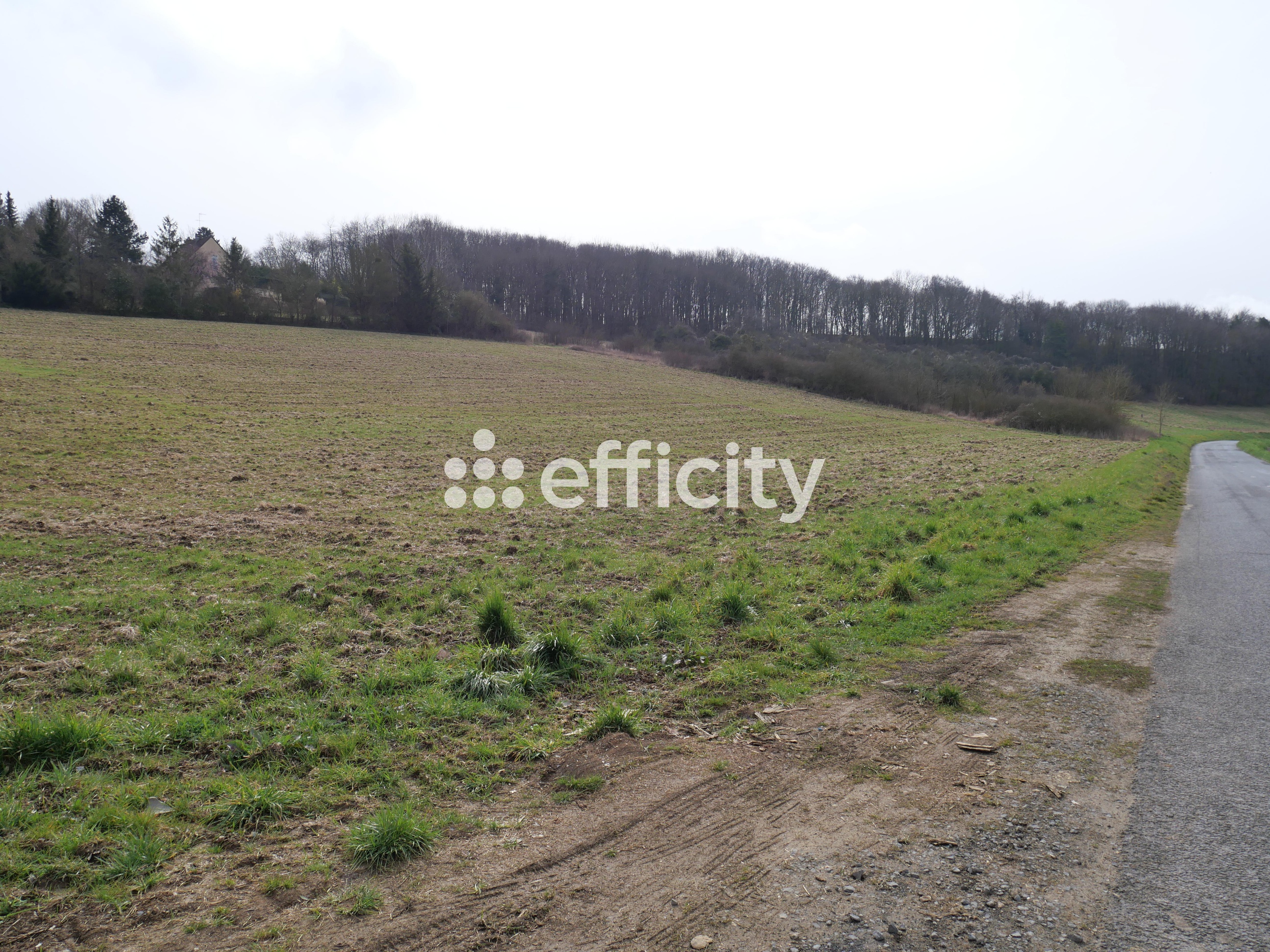 terrain  - 10469m2 à Sainte-Geneviève (60730)