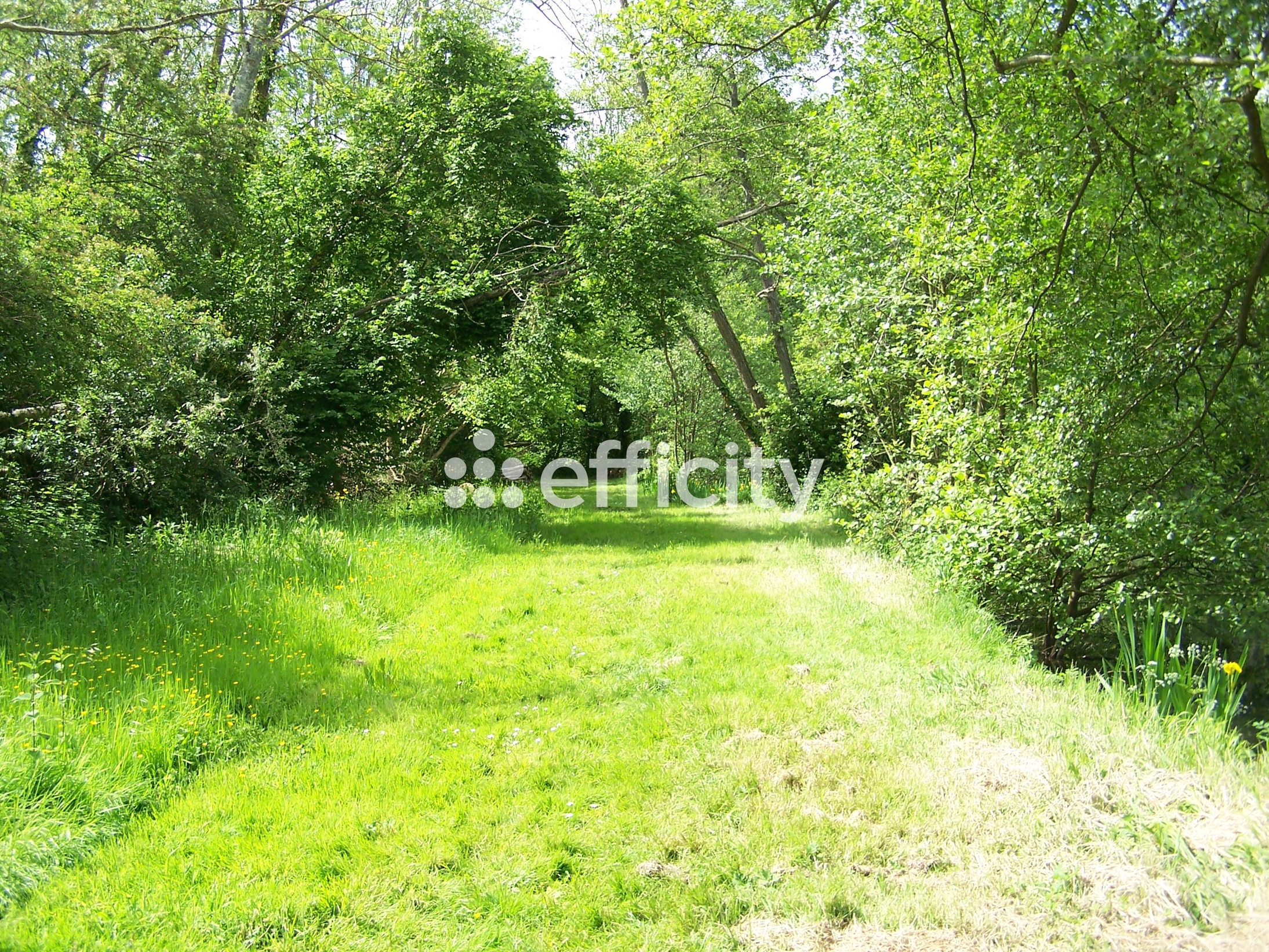 Achat immobilier Terrain   73790m2 à Saint-Piat (28130) - Photo n°8