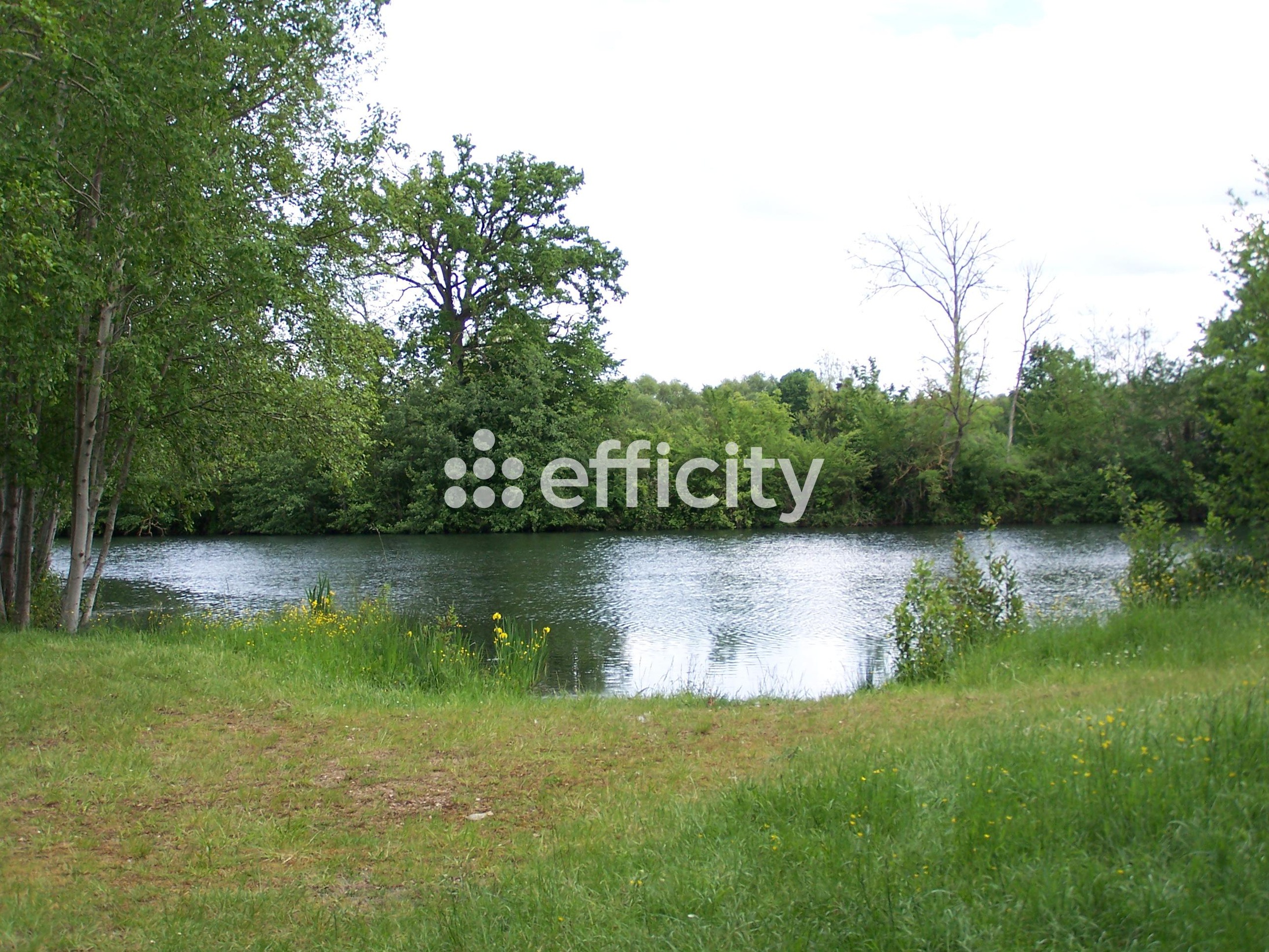 Achat immobilier Terrain   73790m2 à Saint-Piat (28130) - Photo n°9