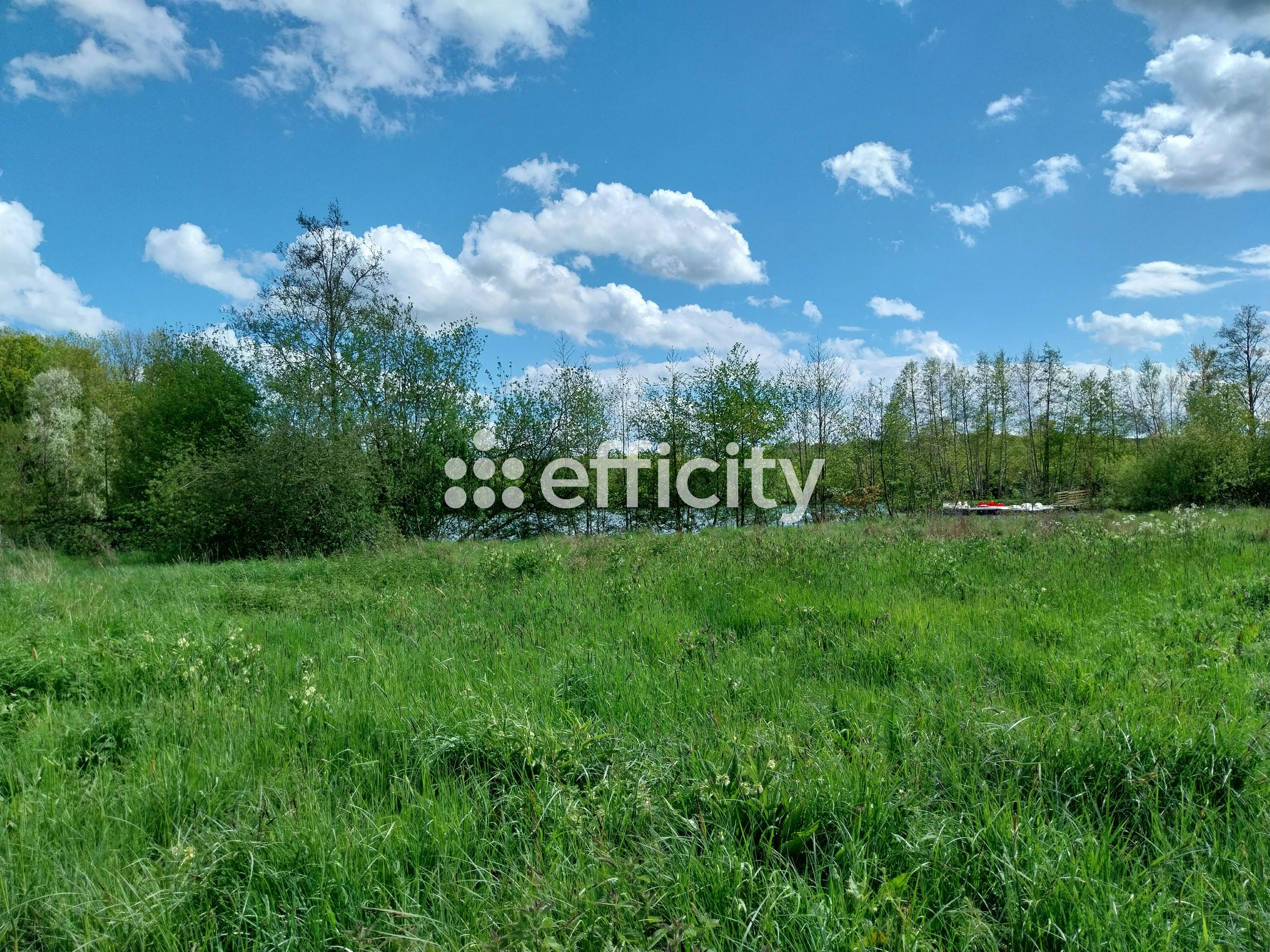 Achat immobilier Terrain   73790m2 à Saint-Piat (28130) - Photo n°7