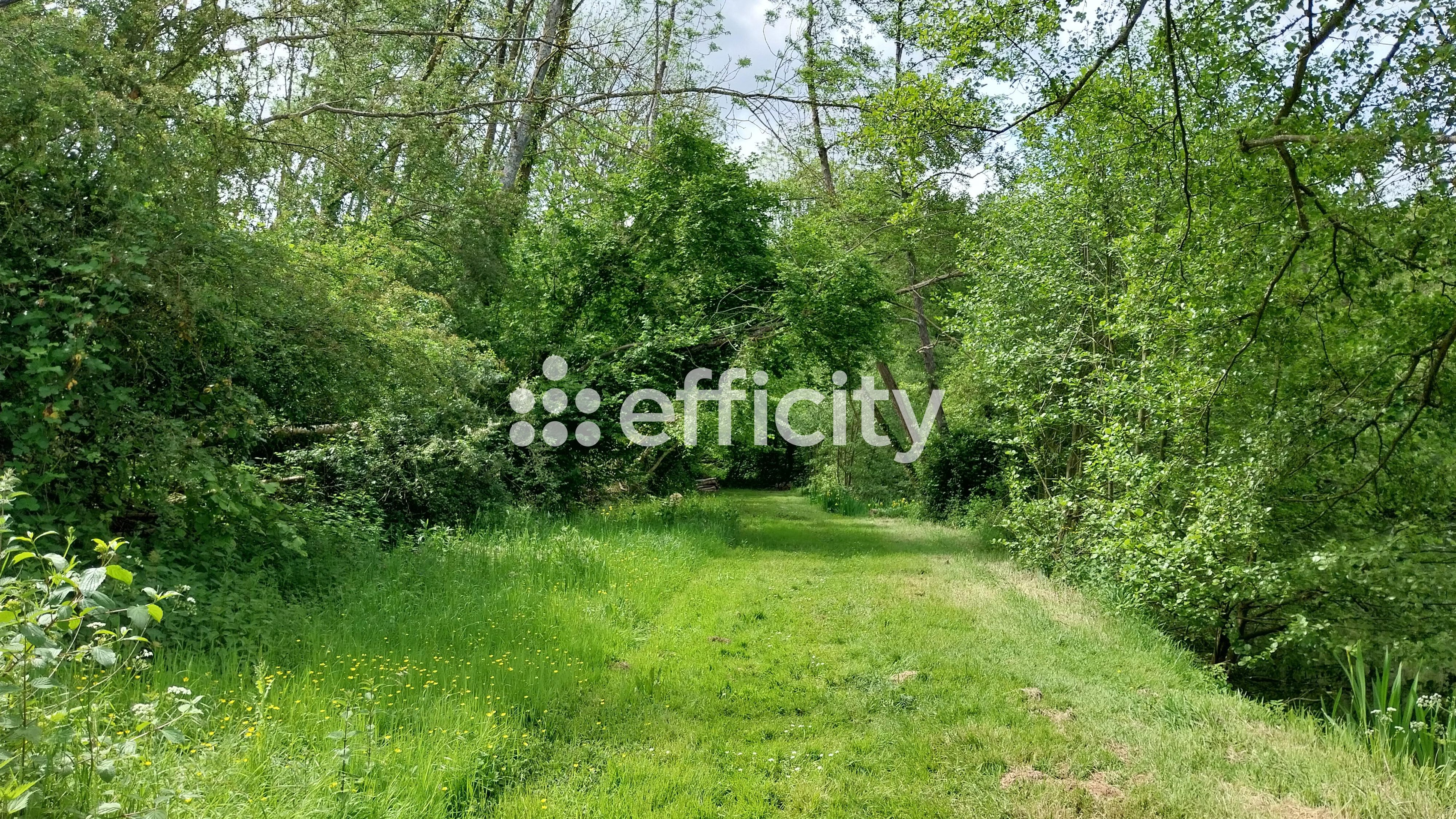Achat immobilier Terrain   73790m2 à Saint-Piat (28130) - Photo n°6