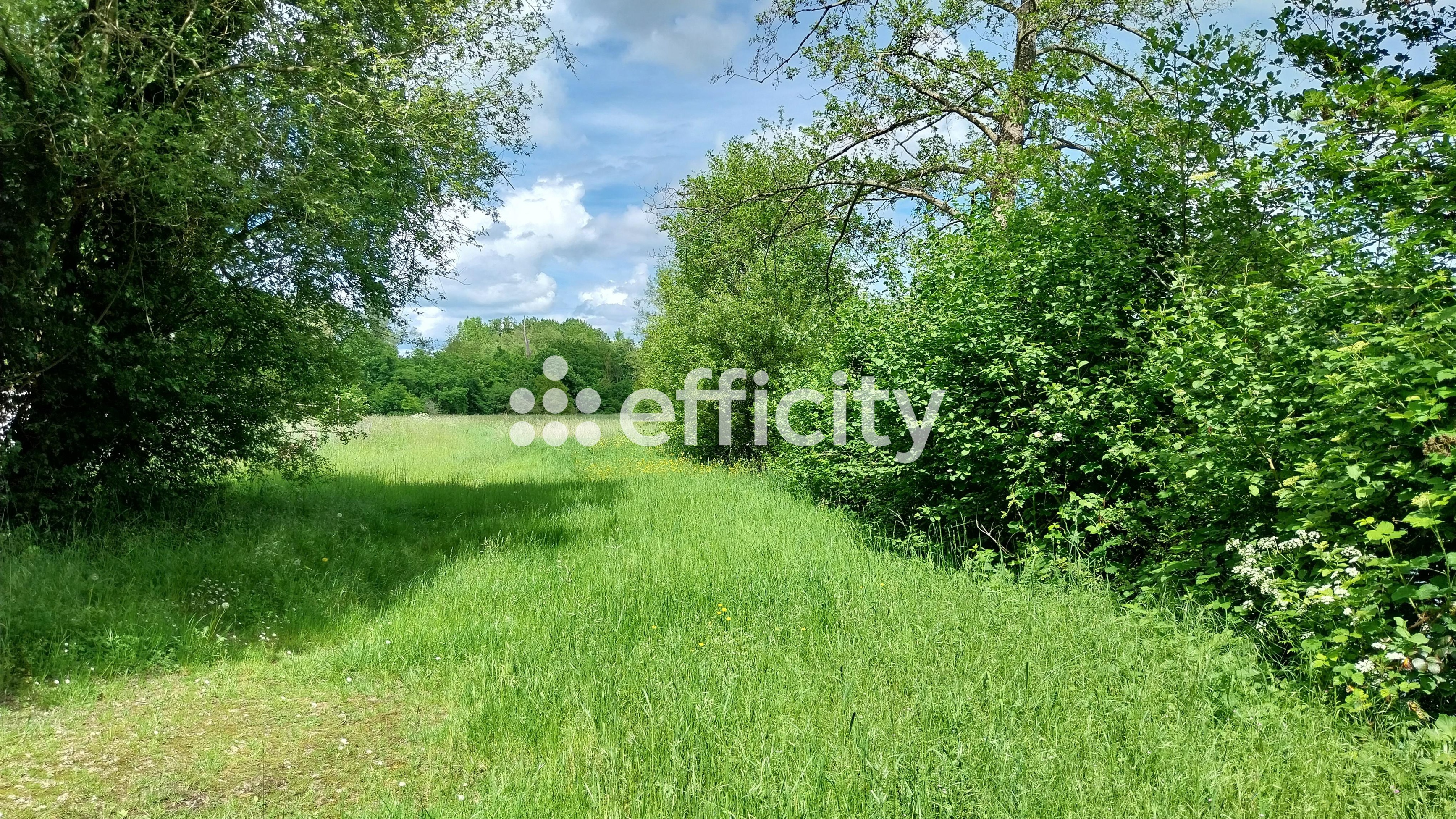 Achat immobilier Terrain   73790m2 à Saint-Piat (28130) - Photo n°10