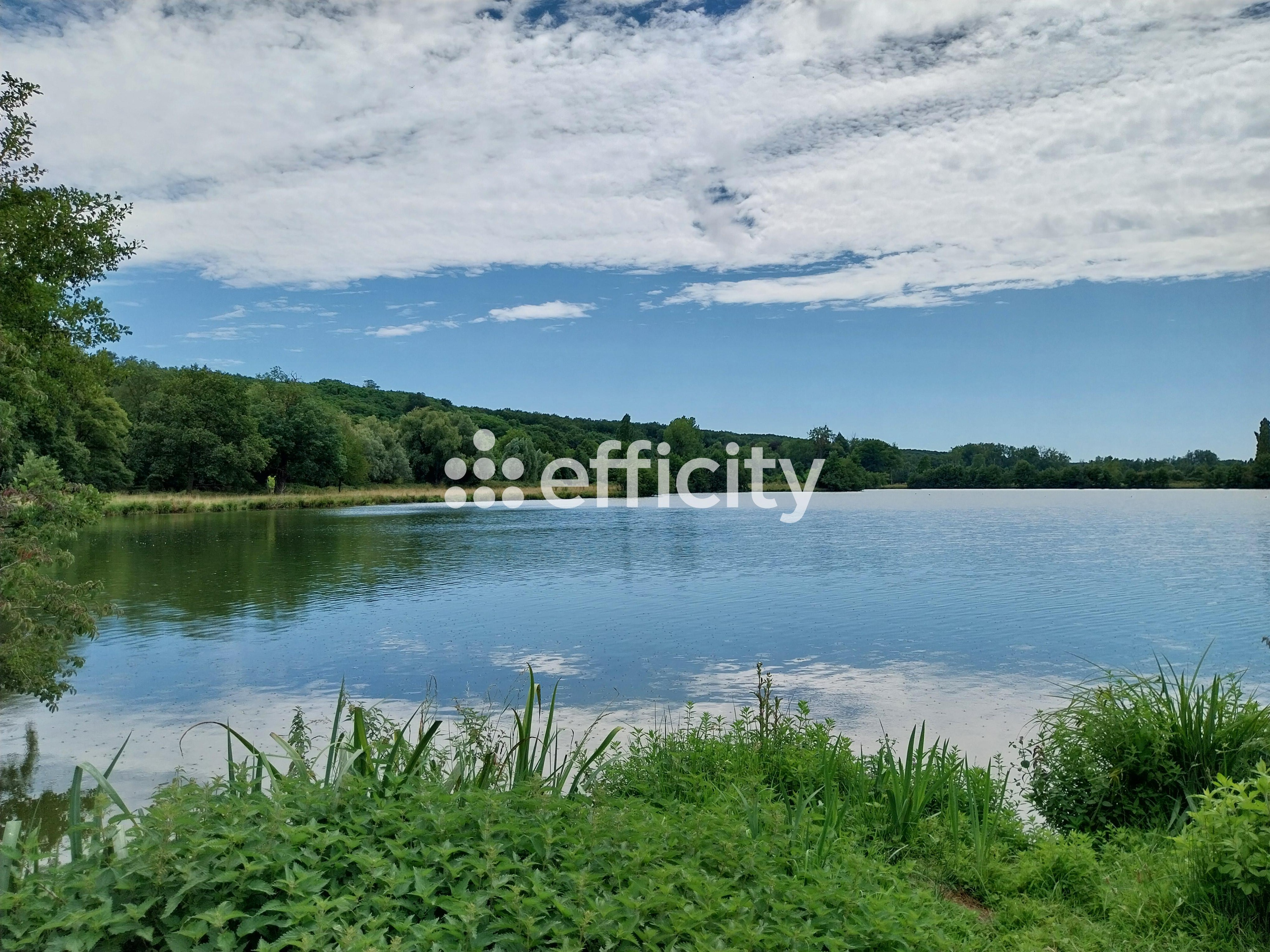 Achat immobilier Terrain   73790m2 à Saint-Piat (28130) - Photo n°4