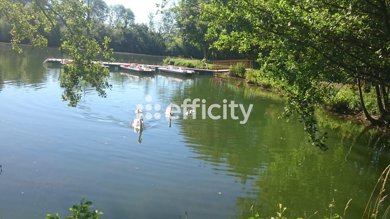 Achat immobilier Terrain   73790m2 à Saint-Piat (28130) - Photo n°13