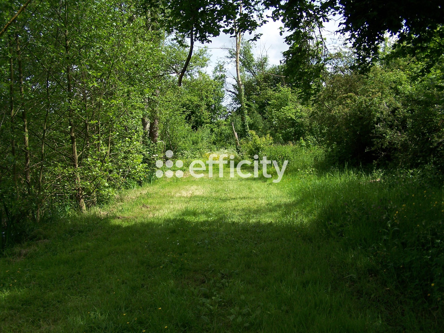 terrain  - 73790m2 à Saint-Piat (28130)