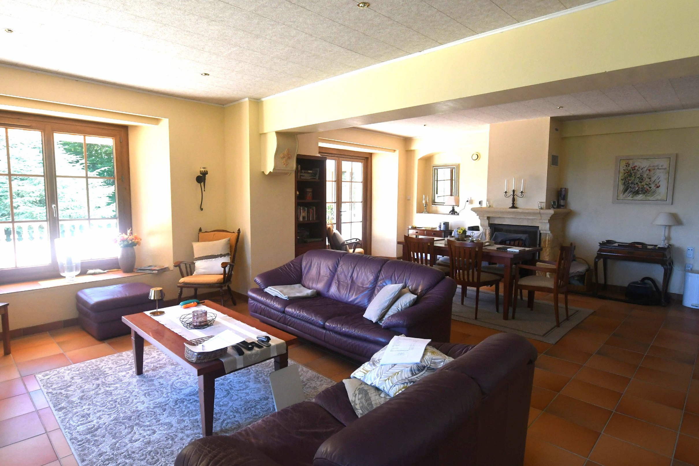 Achat immobilier Maison 10 pièces  600m2 à Silhac (07240) - Photo n°14