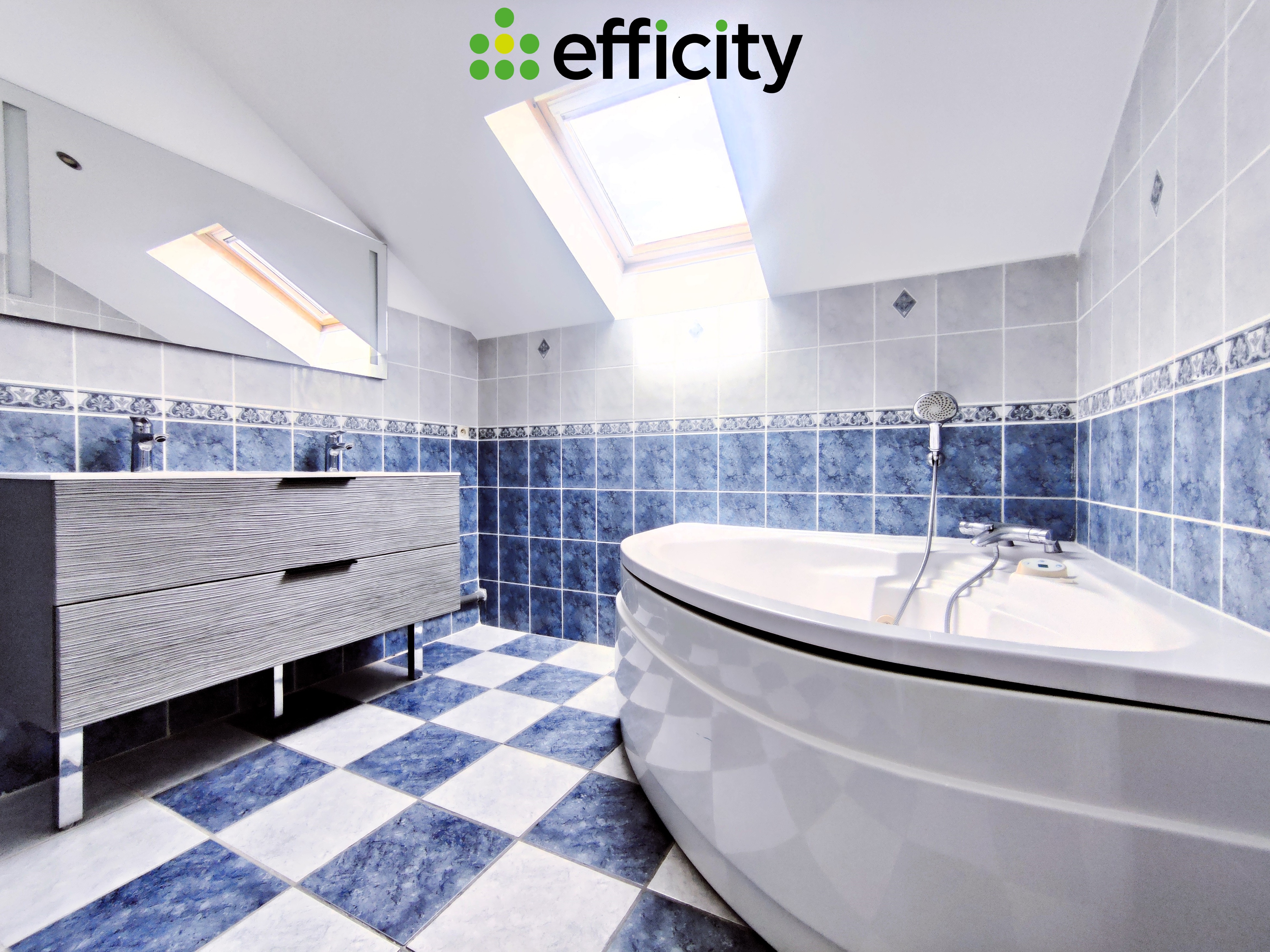 Achat immobilier Maison 6 pièces  218m2 à Sillans (38590) - Photo n°14