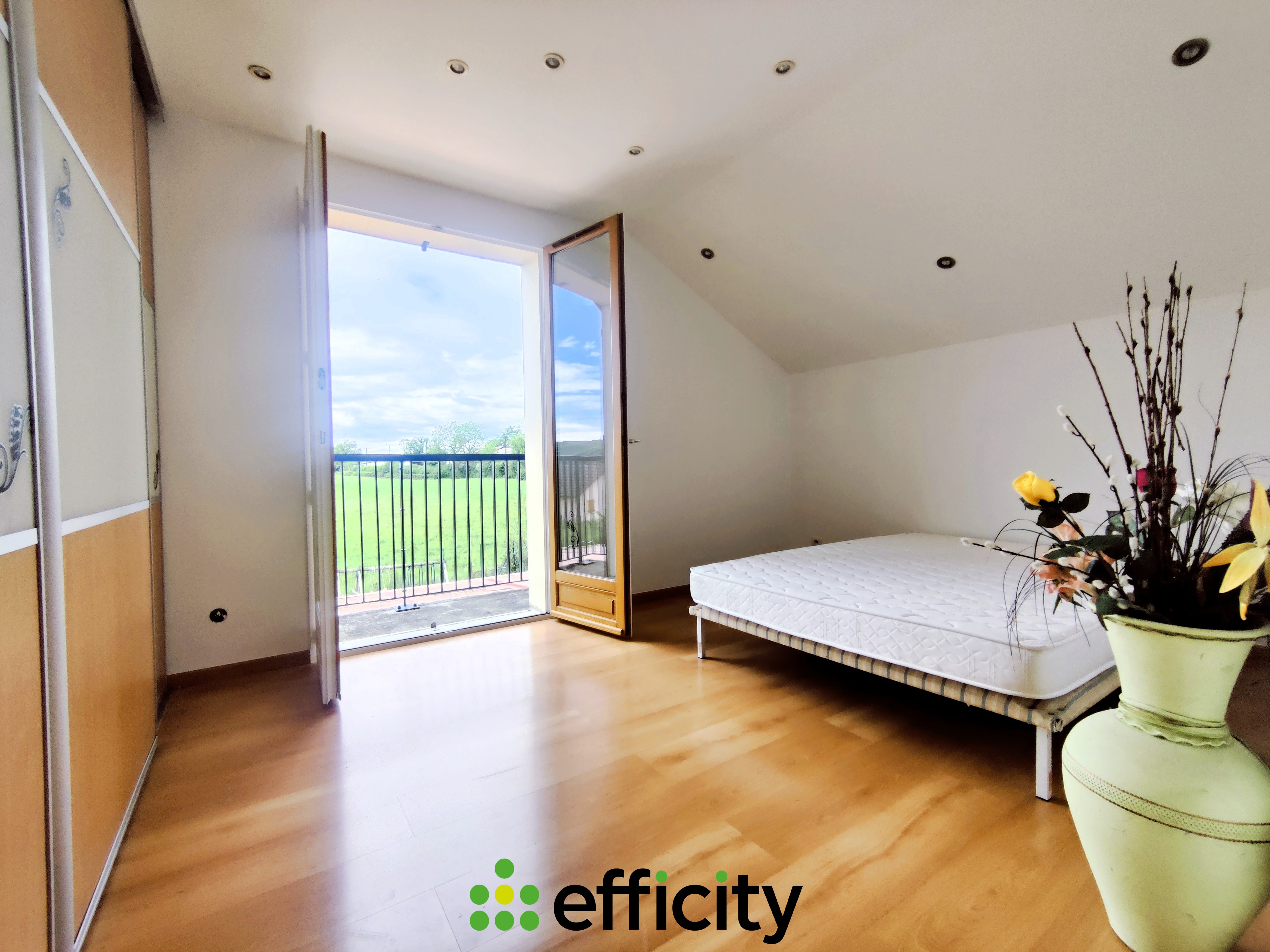 Achat immobilier Maison 6 pièces  218m2 à Sillans (38590) - Photo n°13