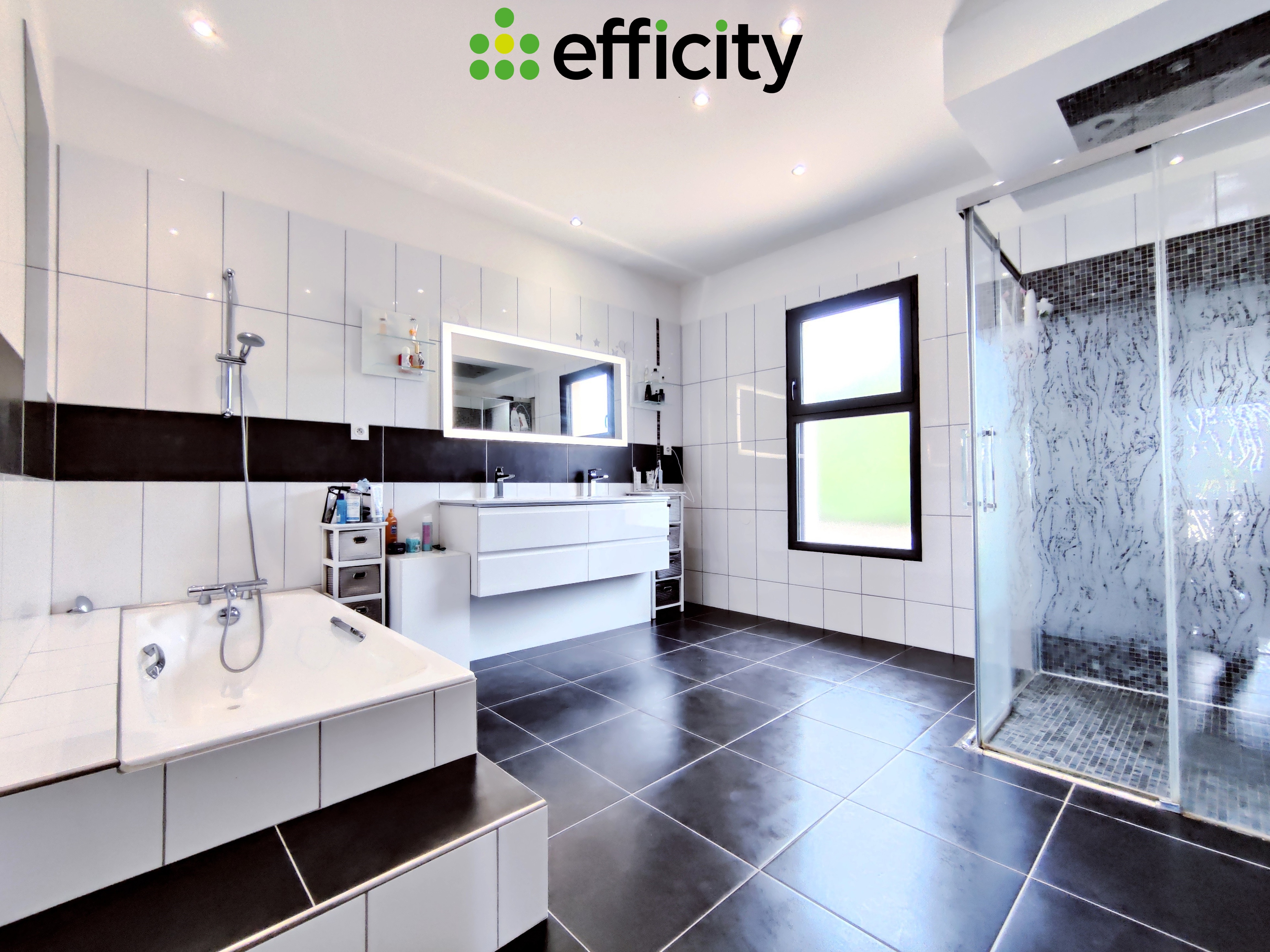 Achat immobilier Maison 6 pièces  218m2 à Sillans (38590) - Photo n°11