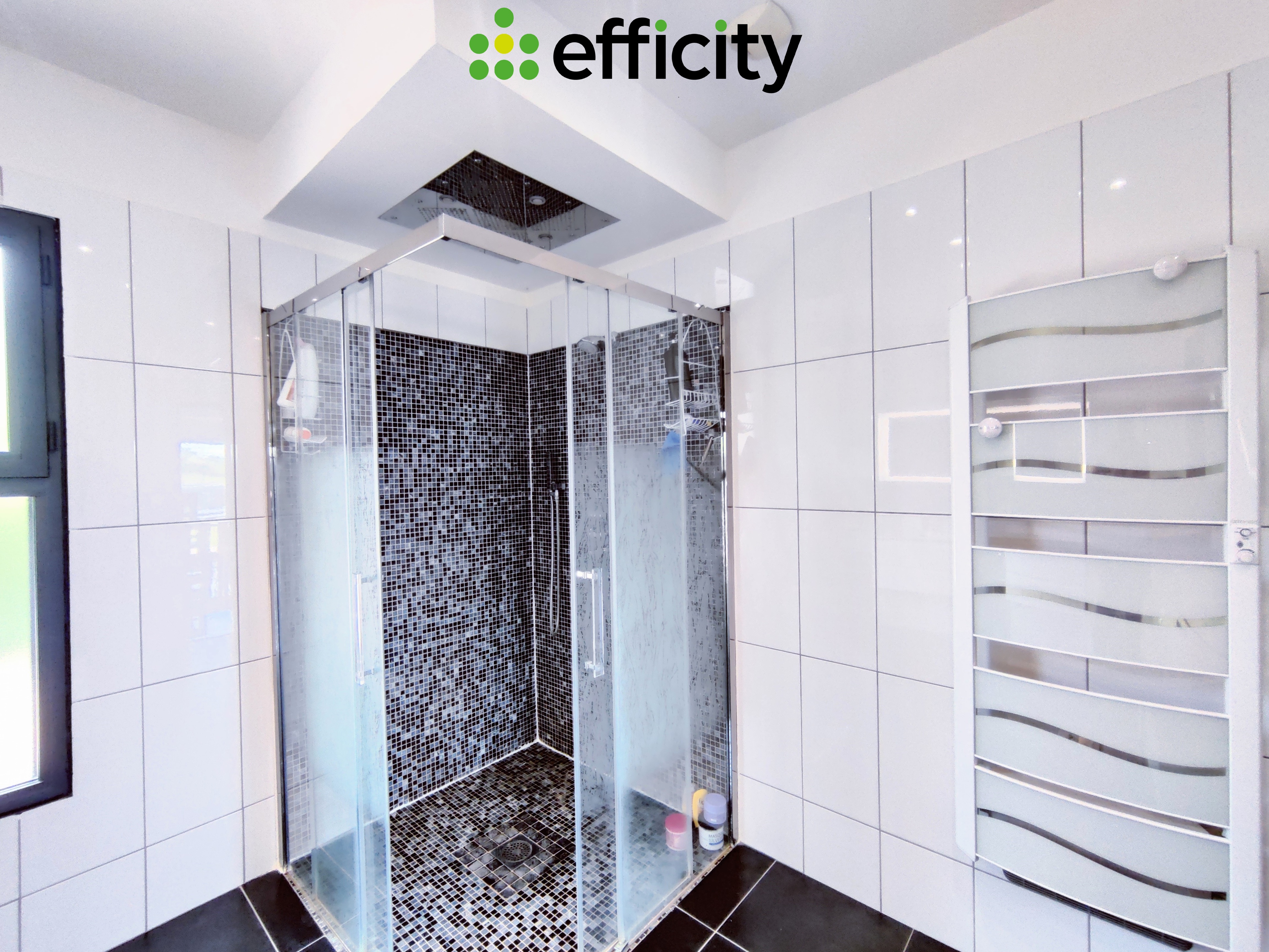 Achat immobilier Maison 6 pièces  218m2 à Sillans (38590) - Photo n°10