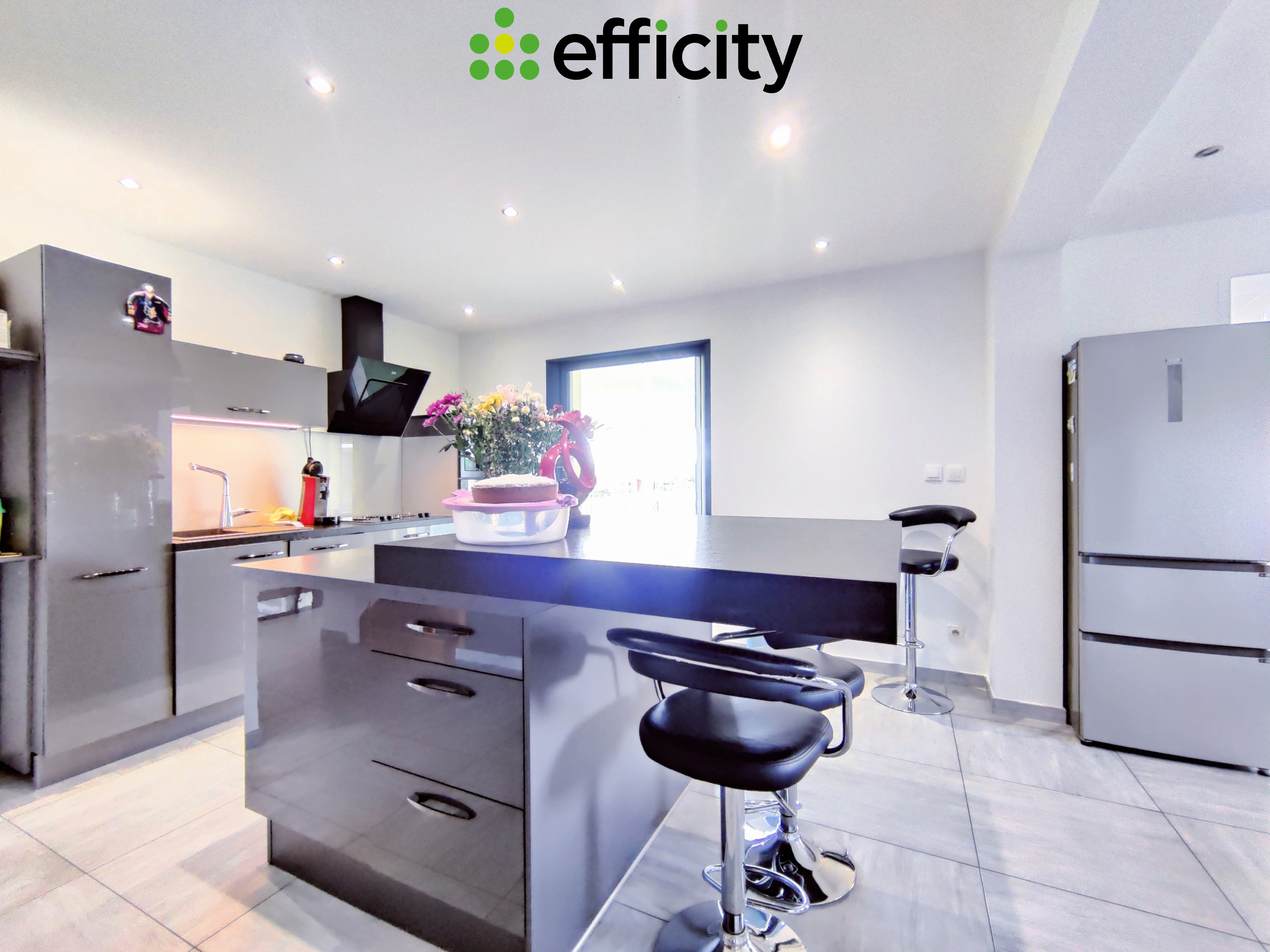 Achat immobilier Maison 6 pièces  218m2 à Sillans (38590) - Photo n°5