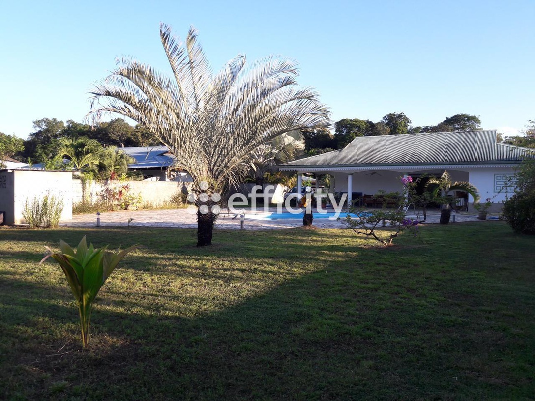 Achat immobilier Maison 7 pièces  103m2 à Remire-Montjoly (97354) - Photo n°5