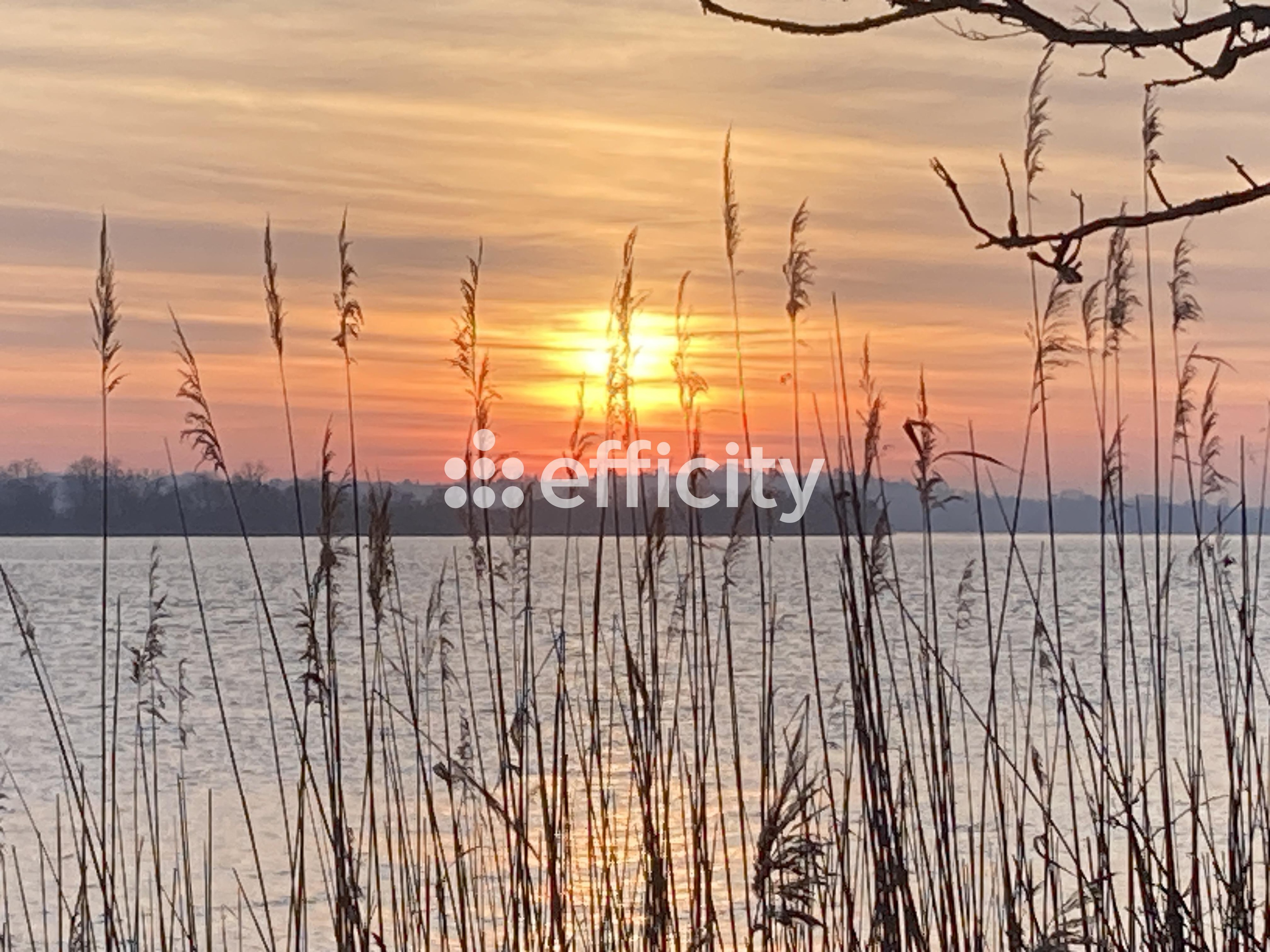 Achat immobilier Maison 9 pièces  250m2 à Ambarès-et-Lagrave (33440) - Photo n°19