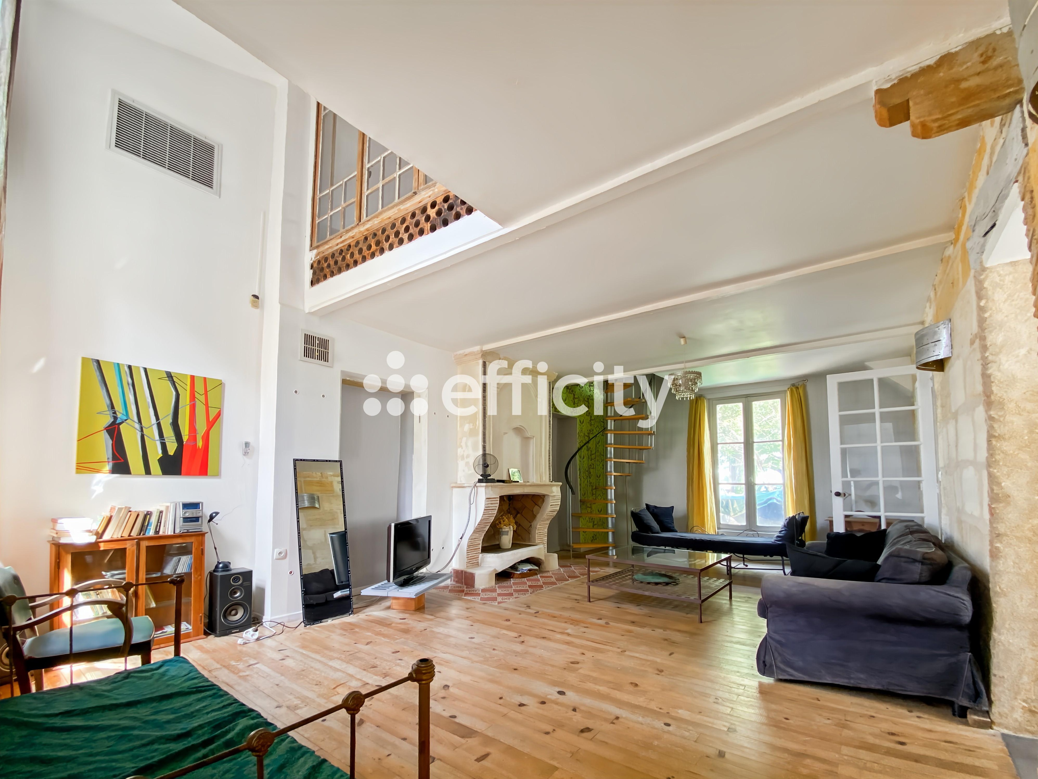 Achat immobilier Maison 9 pièces  250m2 à Ambarès-et-Lagrave (33440) - Photo n°15