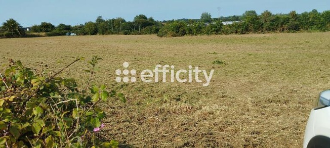 Achat immobilier Terrain   4678m2 à Trézény (22450) - Photo n°1