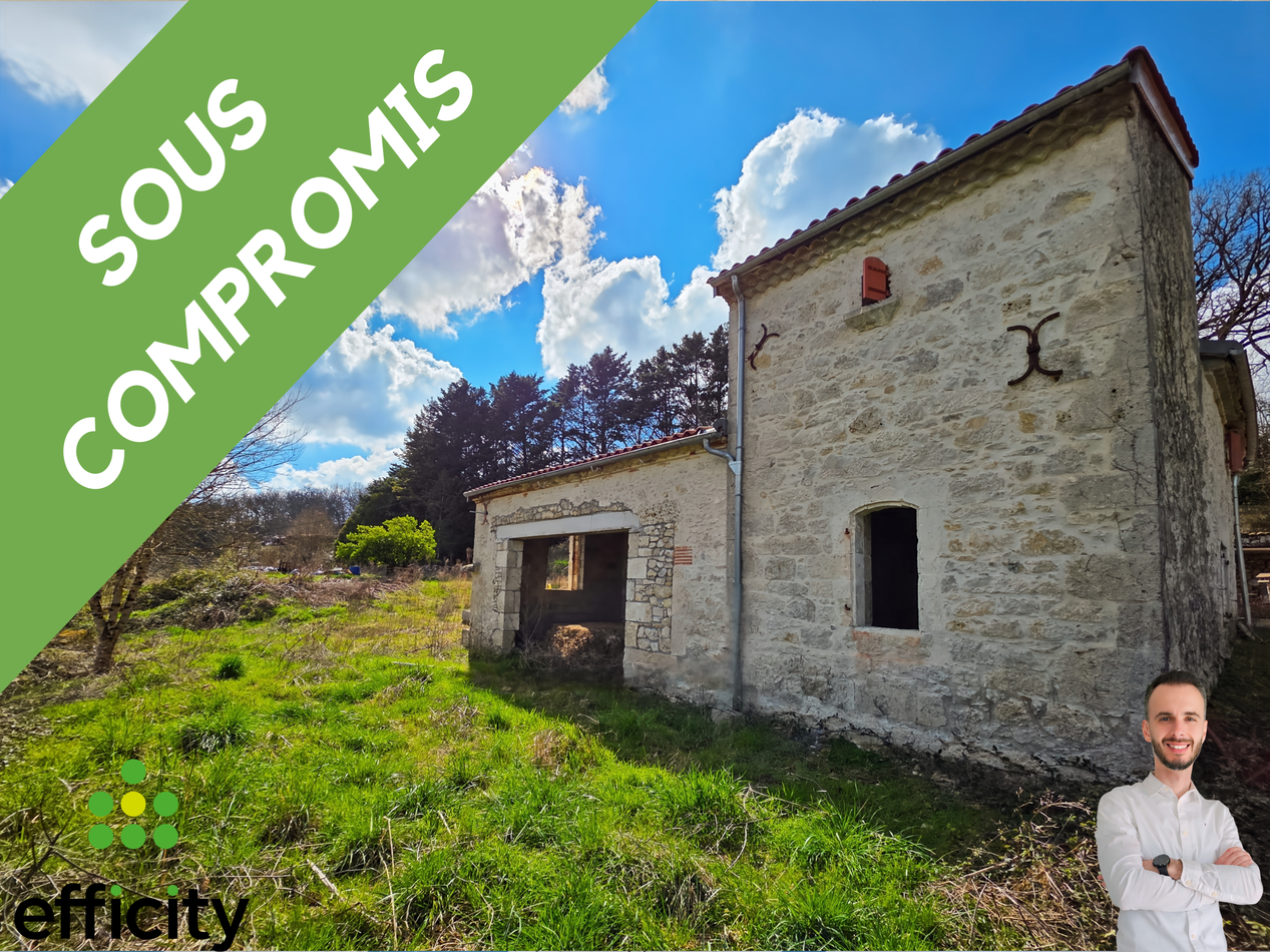maison 1 pièces - 100m2 à Sérignac-sur-Garonne (47310)