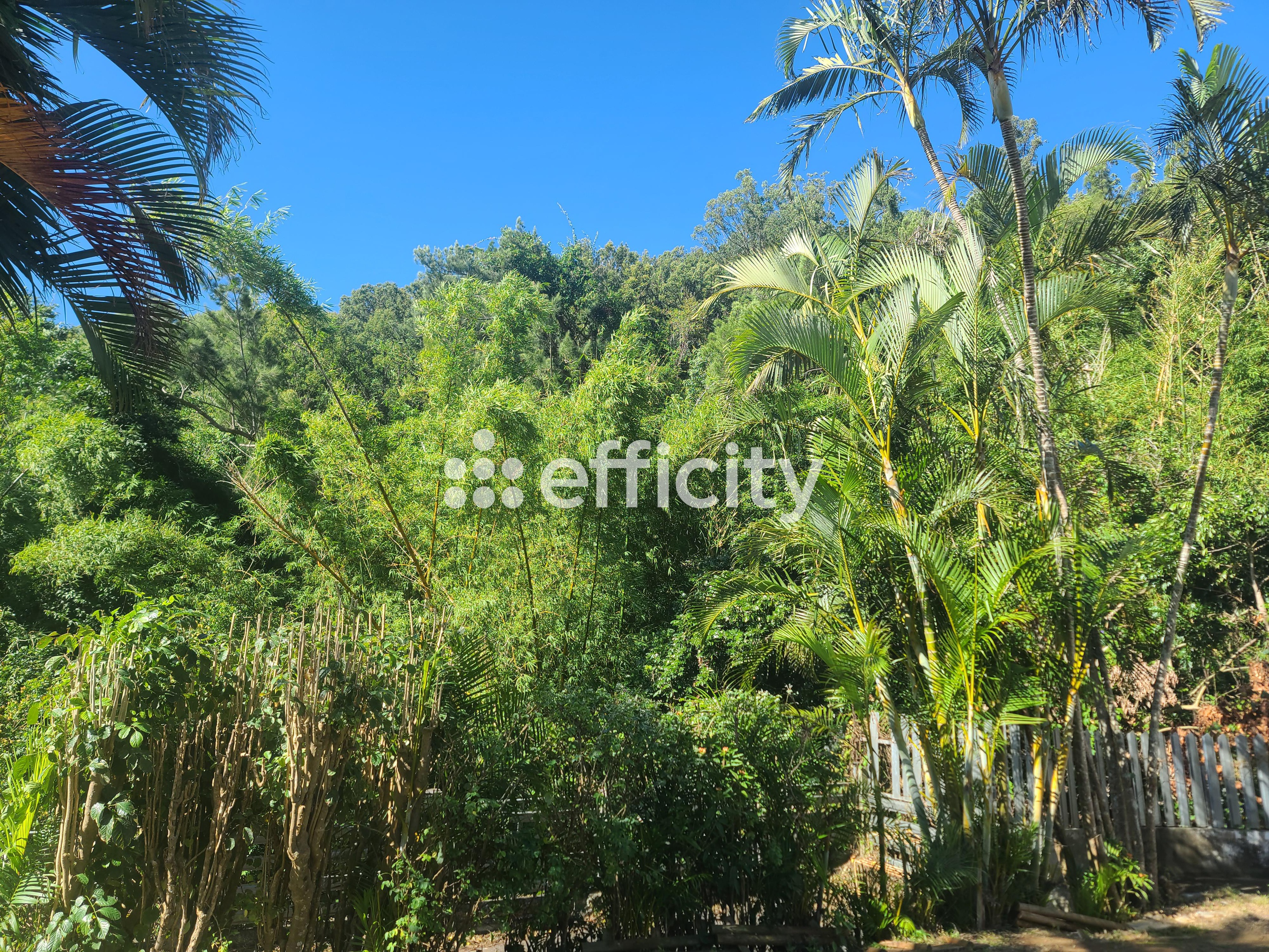 Achat immobilier Maison 11 pièces  211m2 à Saint-Denis (97400) - Photo n°4