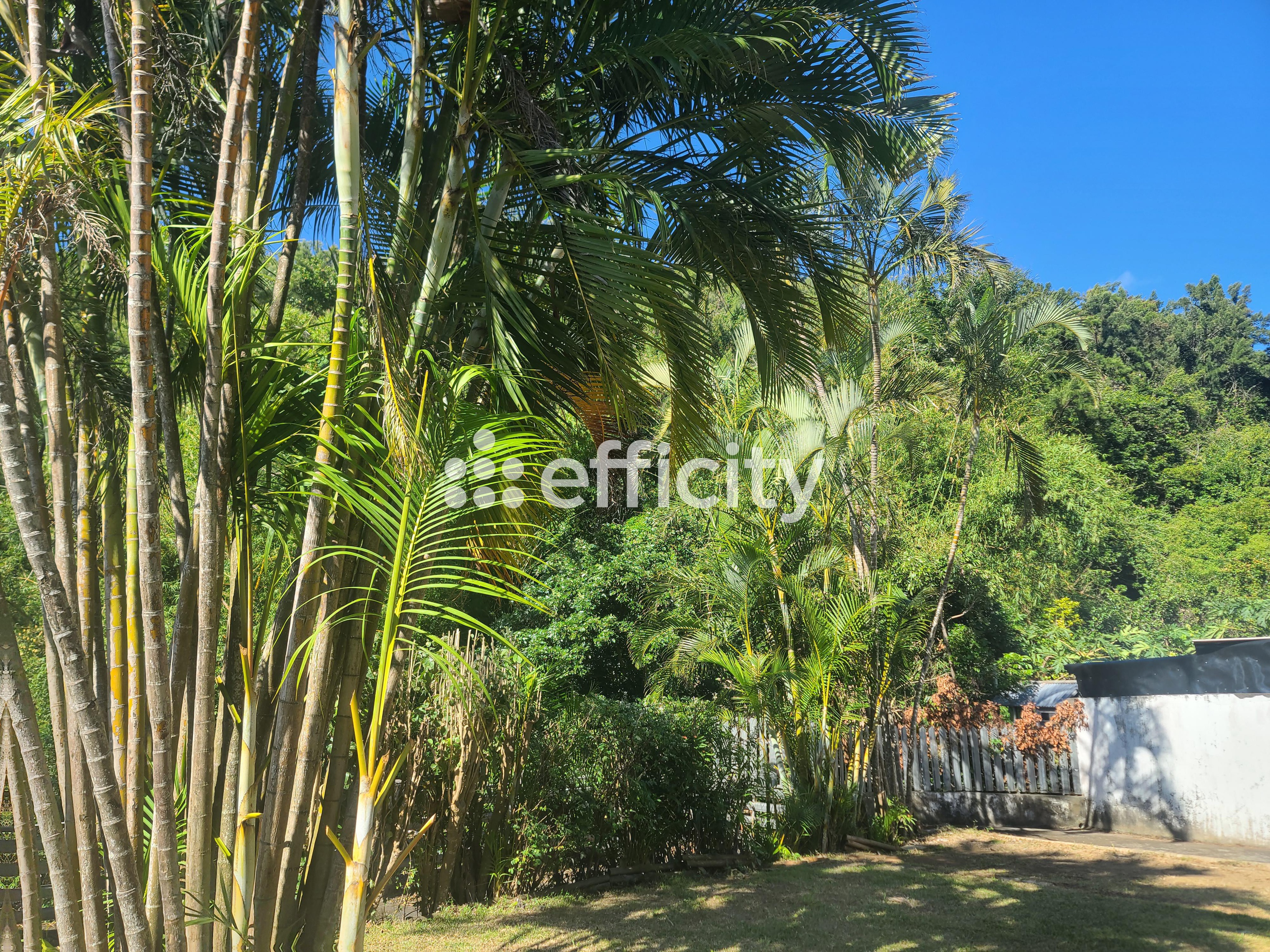 Achat immobilier Maison 11 pièces  211m2 à Saint-Denis (97400) - Photo n°5