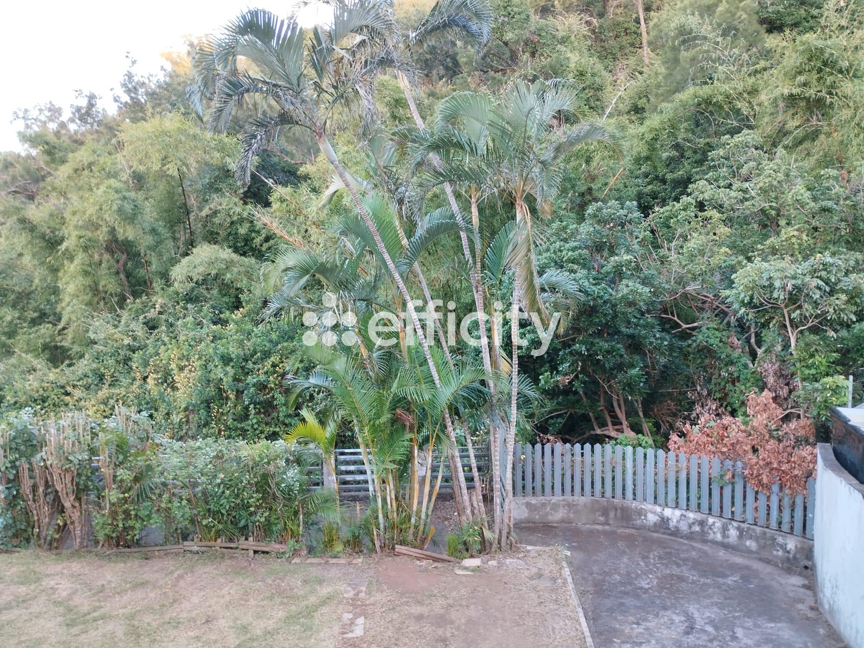 Achat immobilier Maison 11 pièces  211m2 à Saint-Denis (97400) - Photo n°12