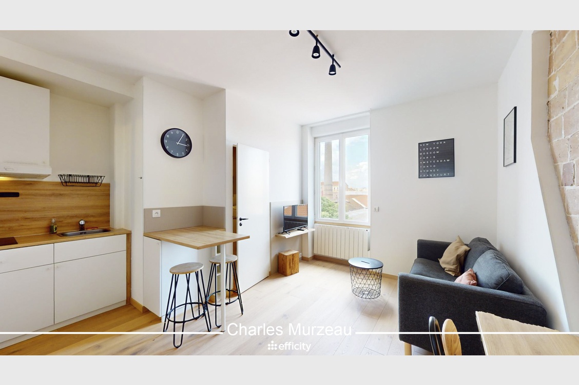 appartement 1 pièces - 25m2 à Villeurbanne (69100)