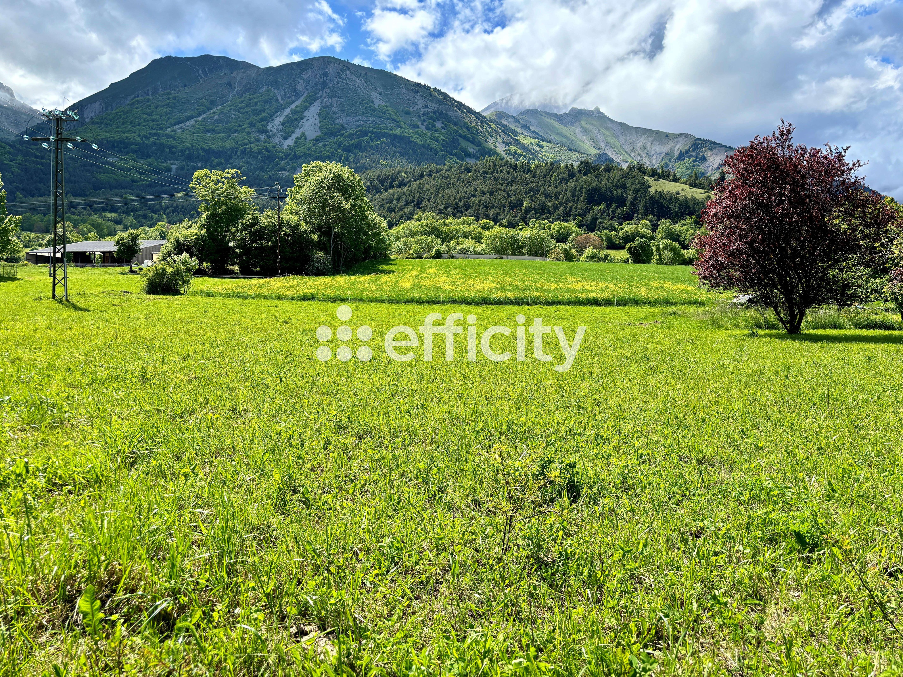 terrain  - 1245m2 à Le Noyer (05500)