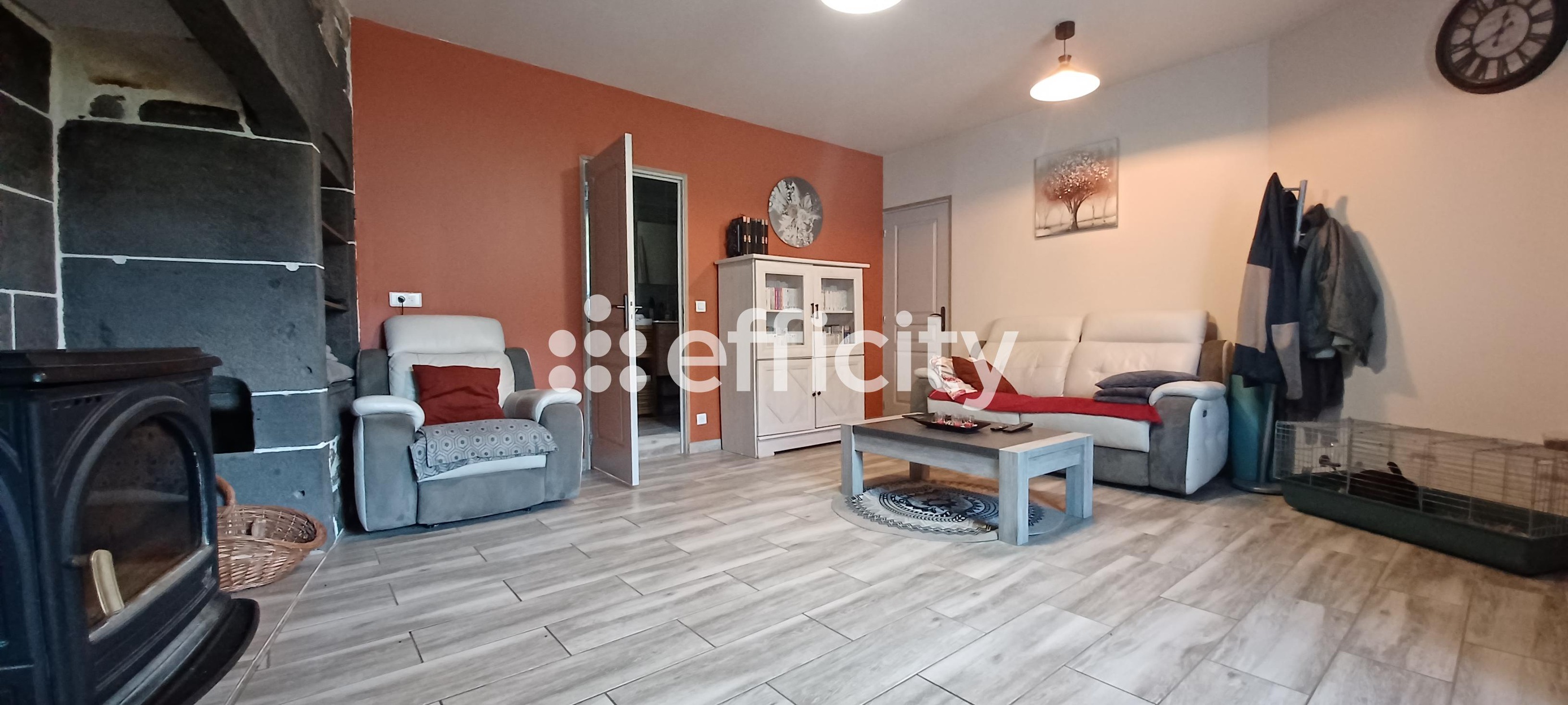 Achat immobilier Maison 6 pièces  167m2 à Villedieu (15100) - Photo n°7