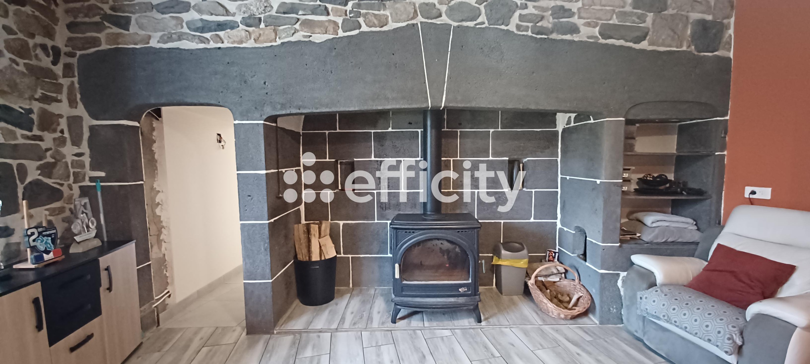 Achat immobilier Maison 6 pièces  167m2 à Villedieu (15100) - Photo n°6