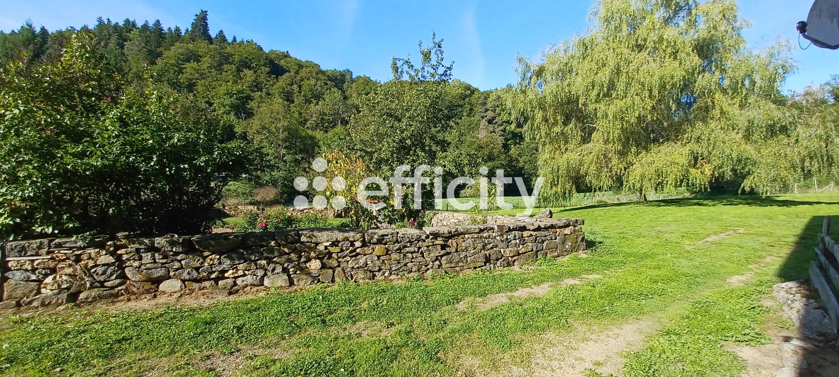 Achat immobilier Maison 6 pièces  167m2 à Villedieu (15100) - Photo n°13