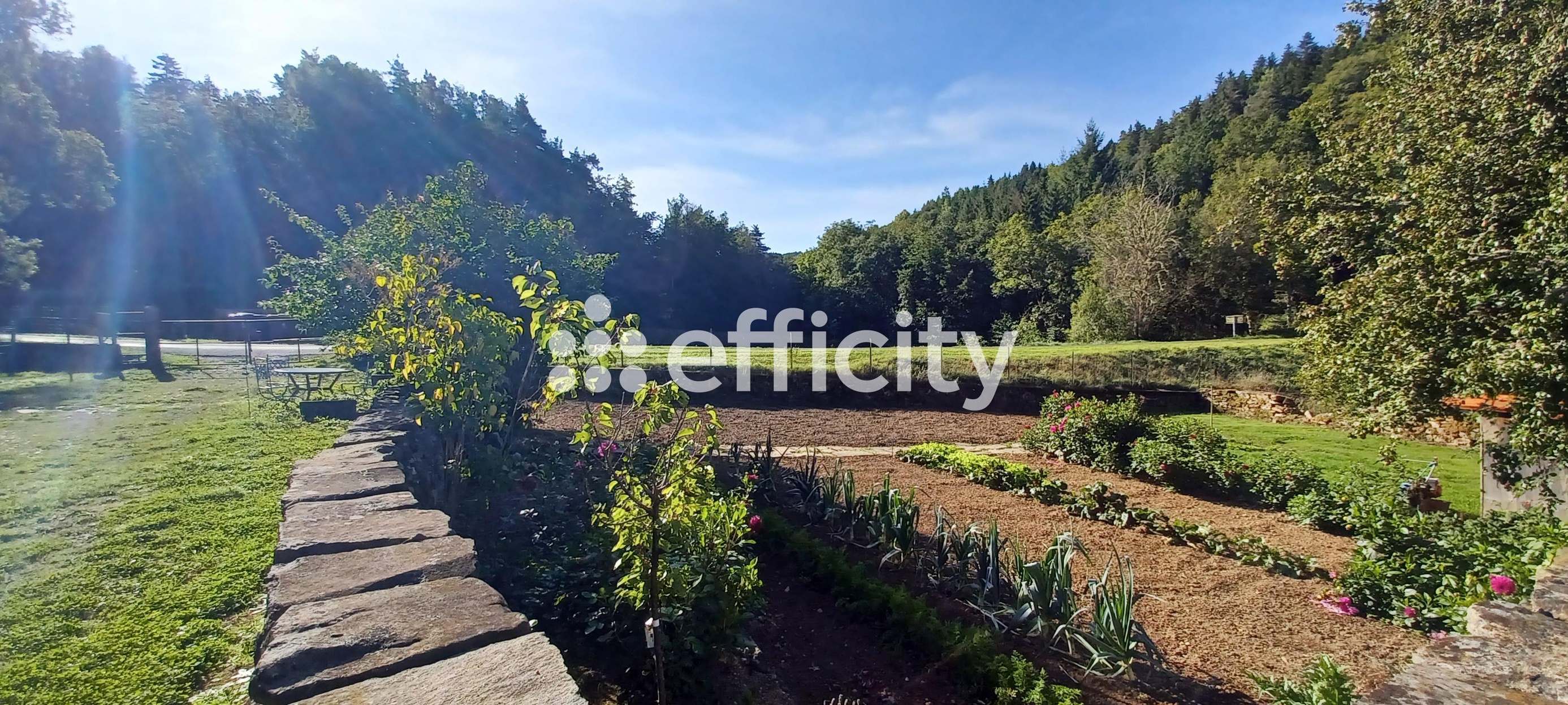 Achat immobilier Maison 6 pièces  167m2 à Villedieu (15100) - Photo n°14