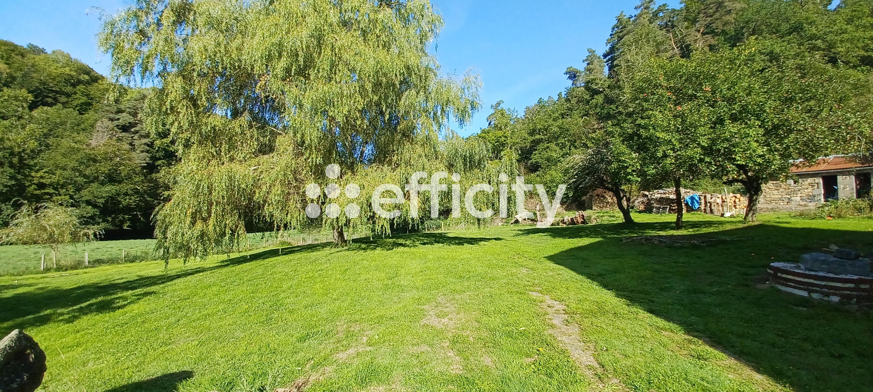 Achat immobilier Maison 6 pièces  167m2 à Villedieu (15100) - Photo n°15