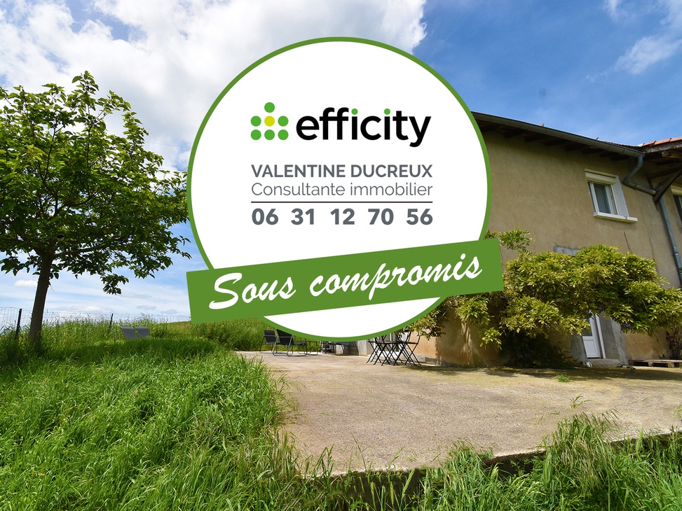 maison 5 pièces - 159m2 à Chazelles-sur-Lyon (42140)
