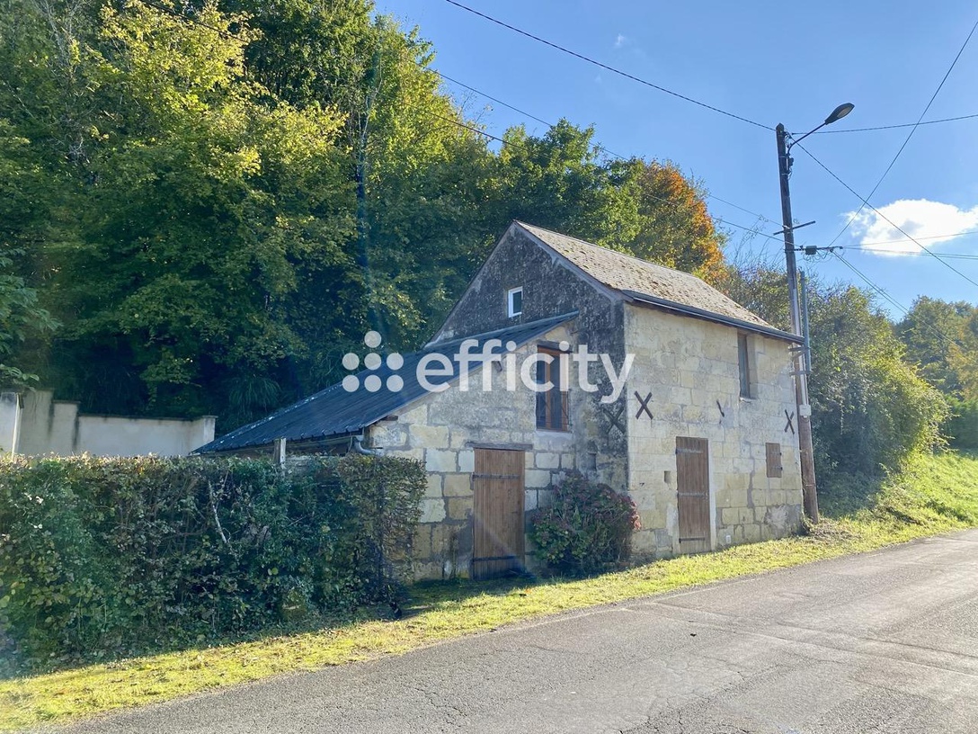 Achat immobilier Maison 3 pièces  57m2 à Langeais (37130) - Photo n°1
