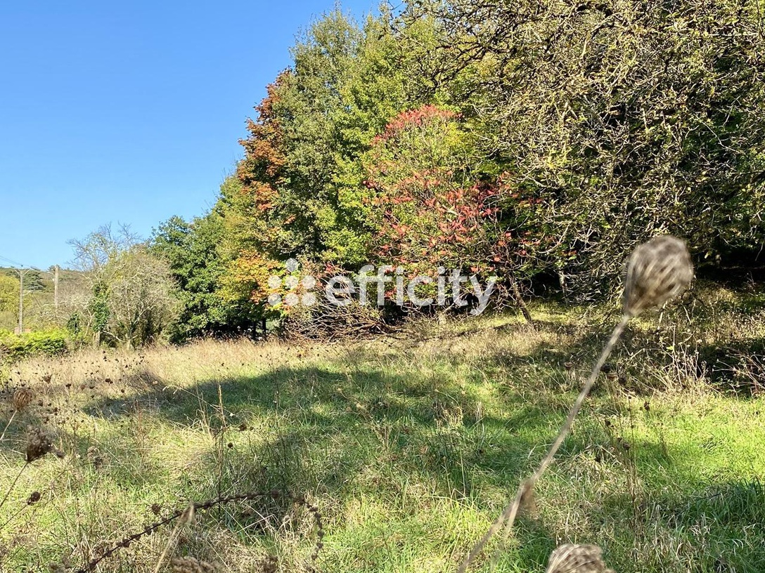 Achat immobilier Maison 3 pièces  57m2 à Langeais (37130) - Photo n°10