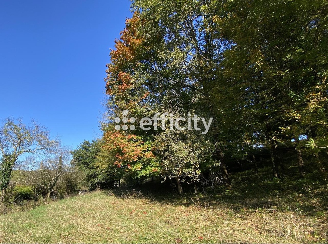 Achat immobilier Maison 3 pièces  57m2 à Langeais (37130) - Photo n°11