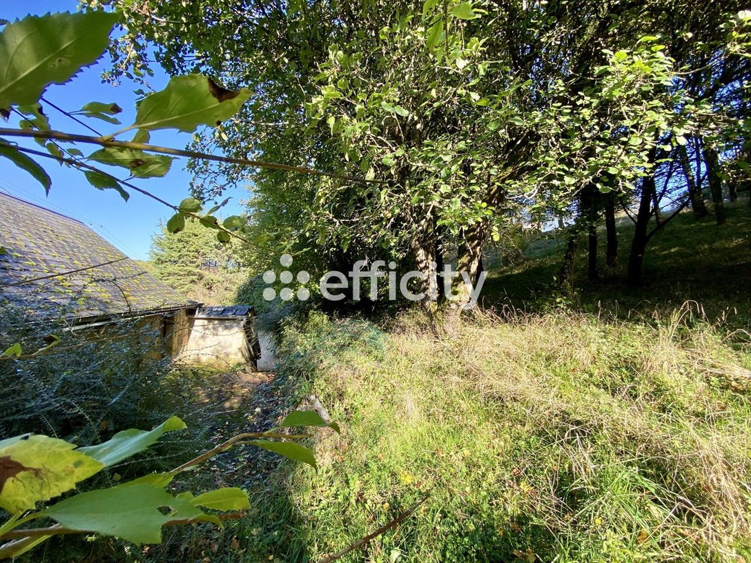 Achat immobilier Maison 3 pièces  57m2 à Langeais (37130) - Photo n°5