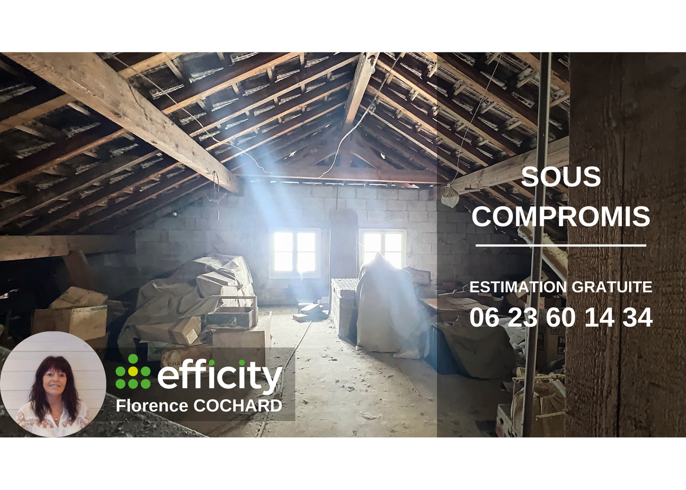 local-commercial 12 pièces - 725m2 à Saint-Jeoire (74490)