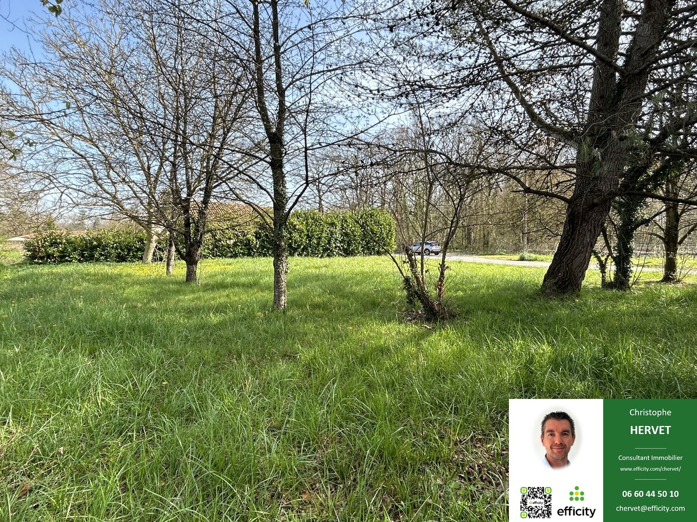 Achat immobilier Terrain   766m2 à Fléac (16730) - Photo n°4