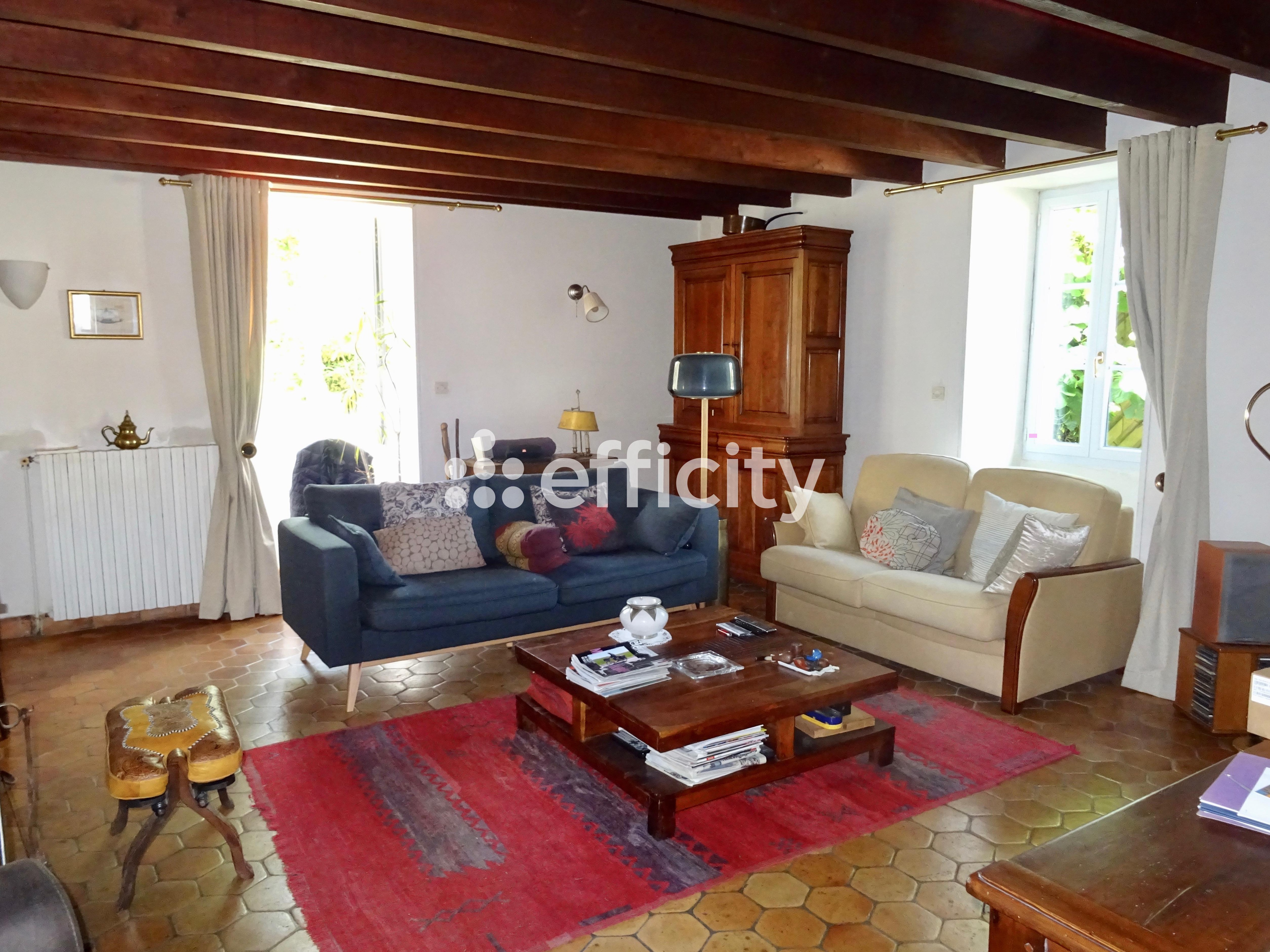 Achat immobilier Maison 11 pièces  380m2 à Nieulle-sur-Seudre (17600) - Photo n°9